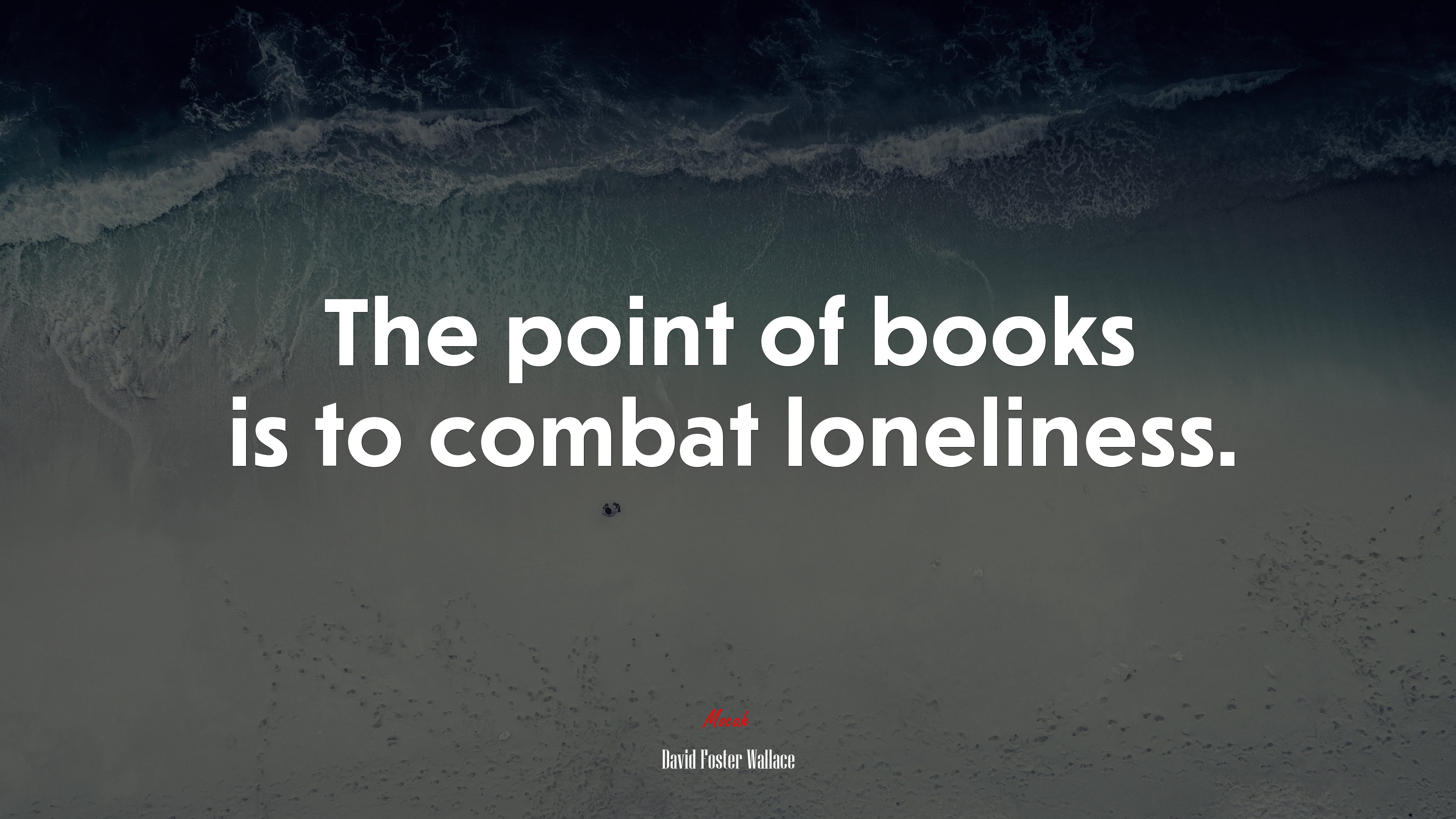 The point of books is to combat loneliness. | David Foster Wallace quote HD Wallpaper