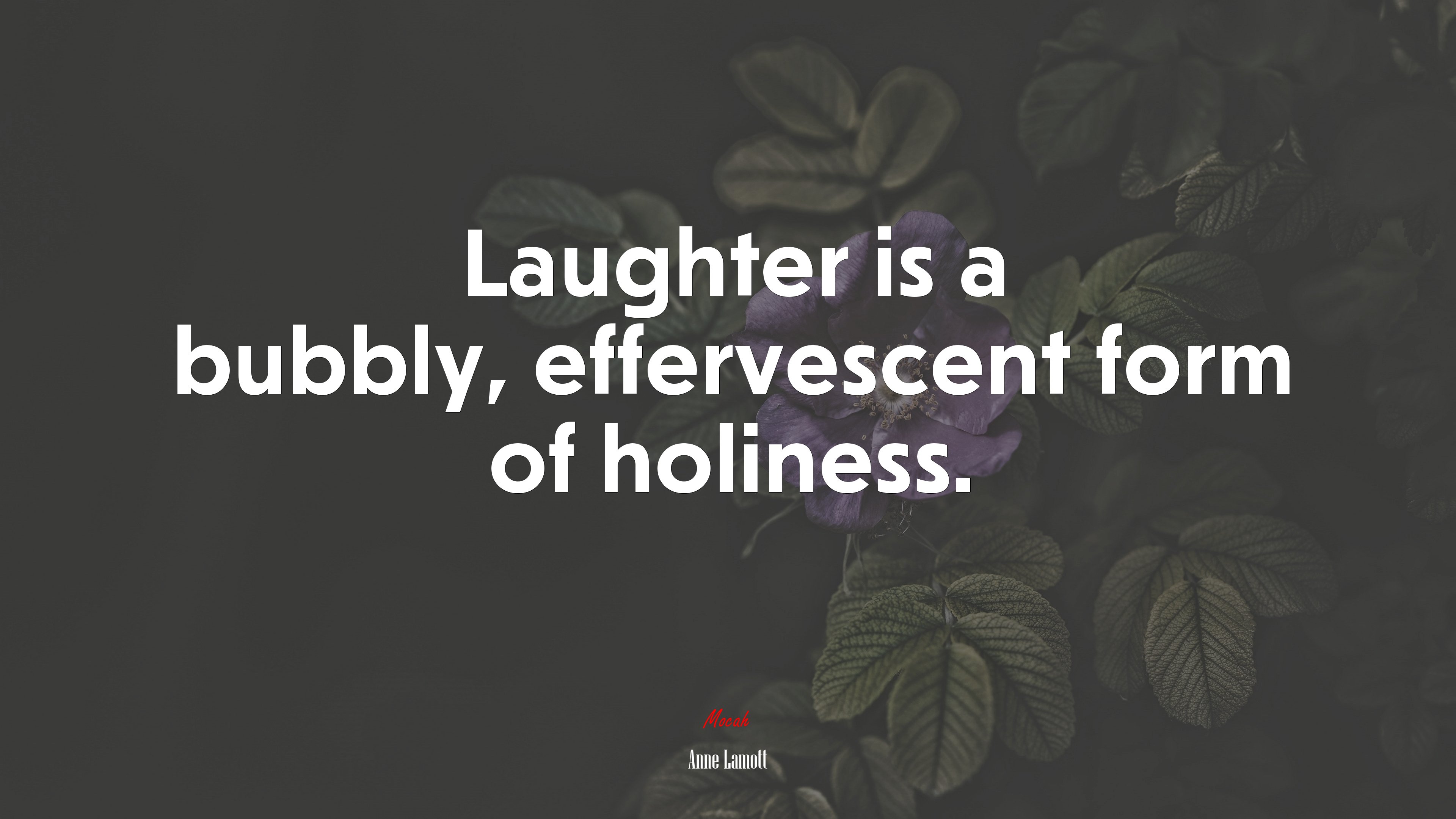 Laughter is a bubbly, effervescent form of holiness. | Anne Lamott quote HD Wallpaper