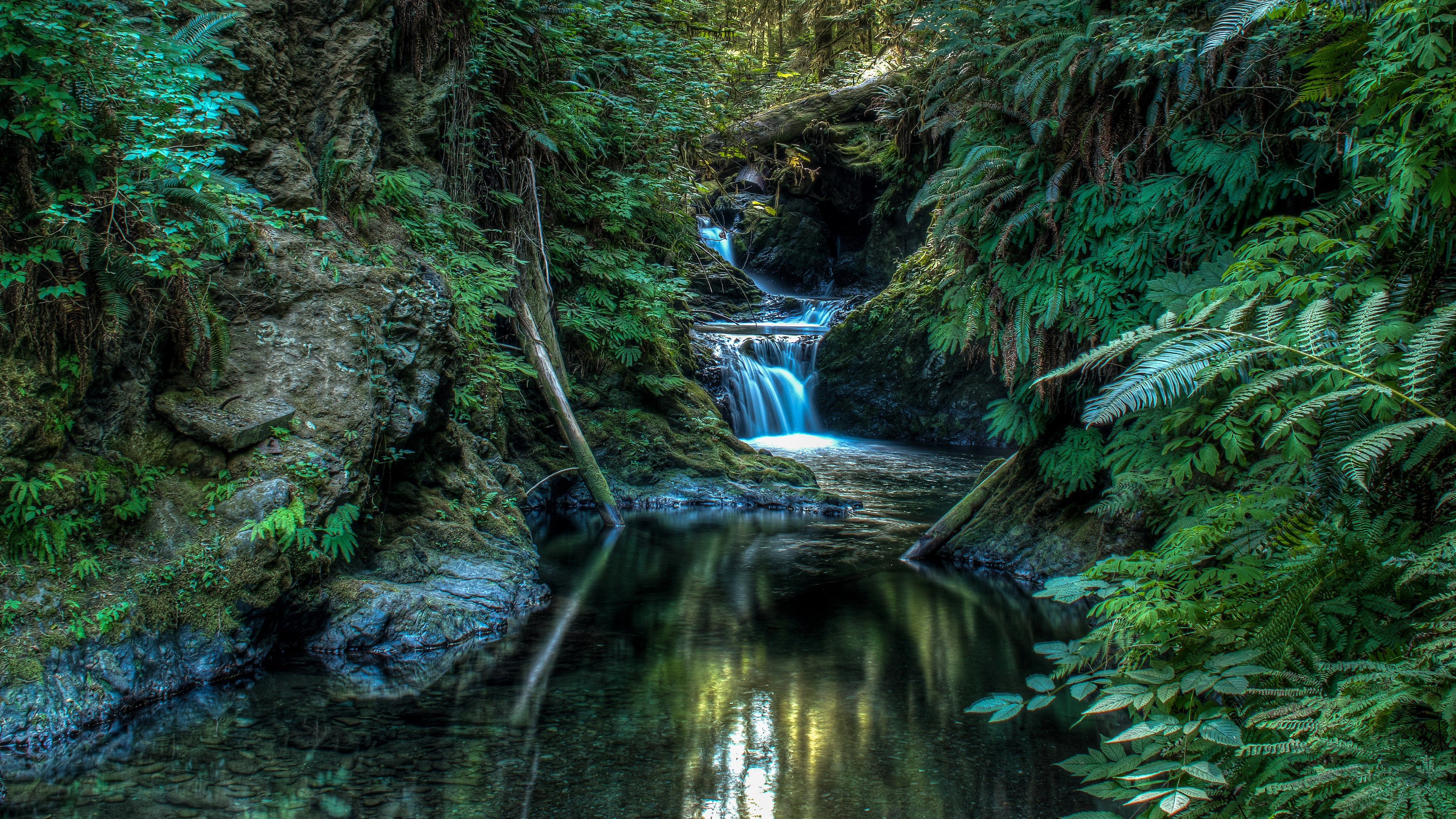 Waterfall flowing through a dense green forest HD Wallpaper