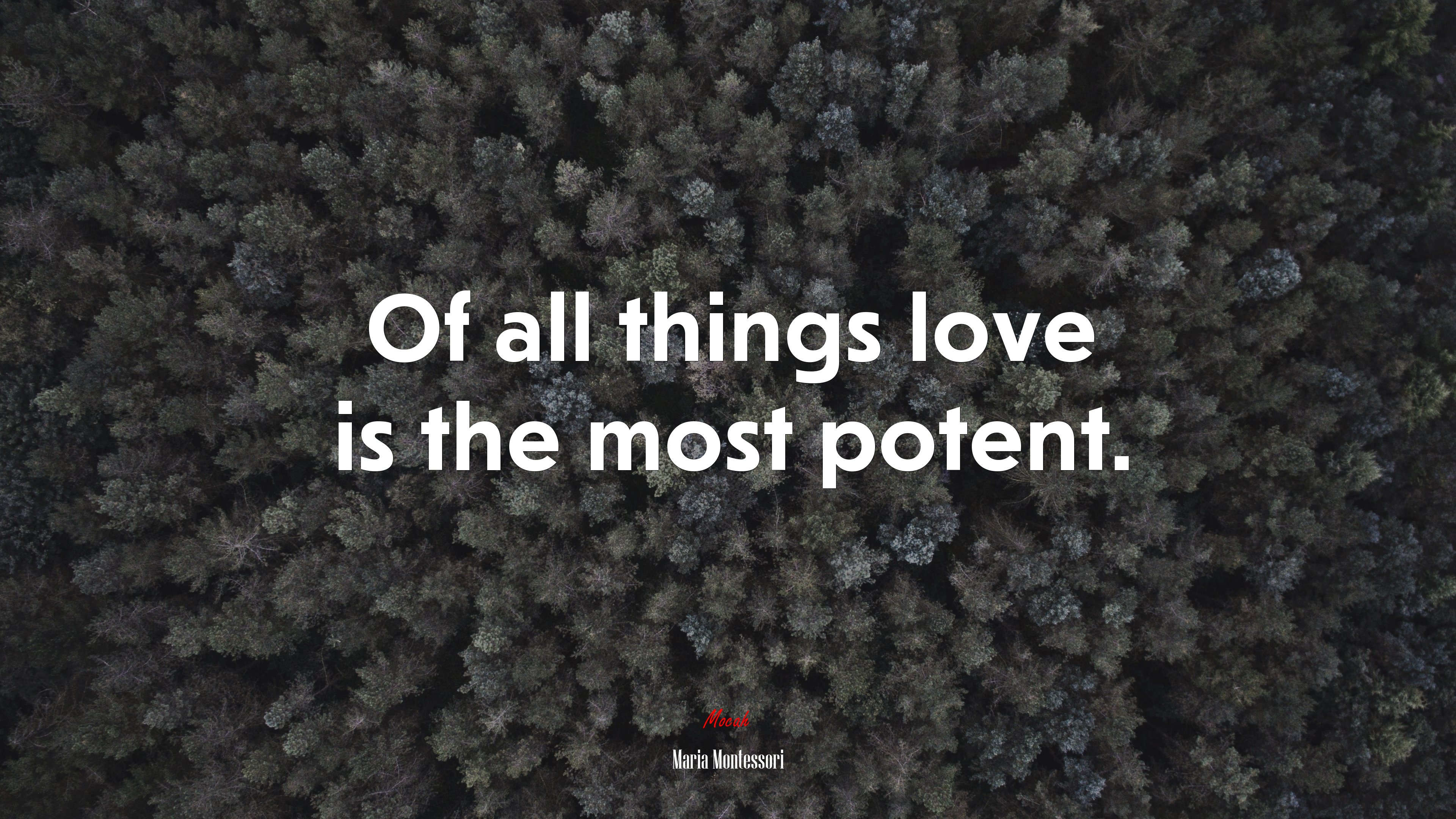 Of all things love is the most potent. | Maria Montessori quote HD Wallpaper