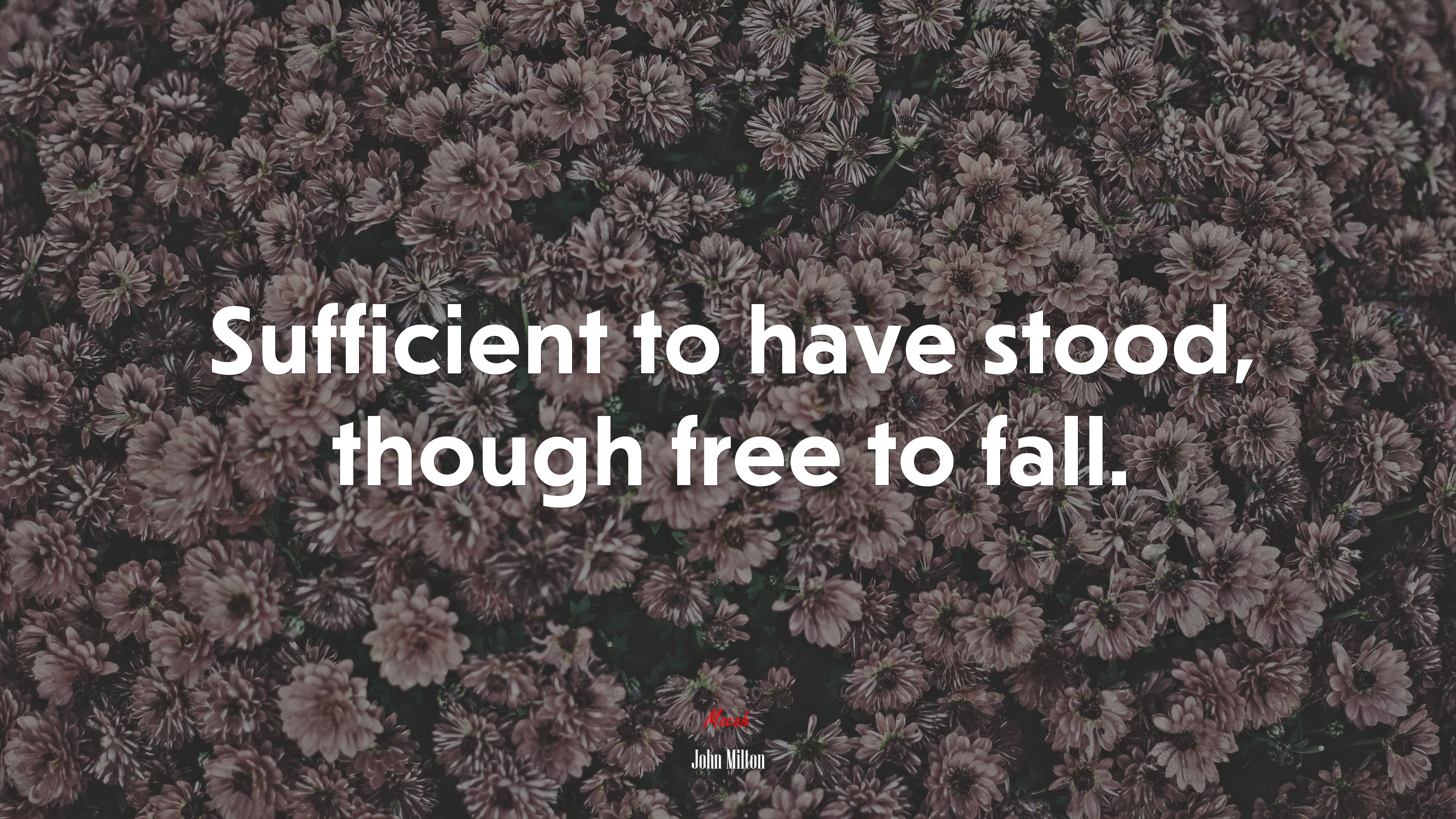 Sufficient to have stood, though free to fall. | John Milton quote HD Wallpaper