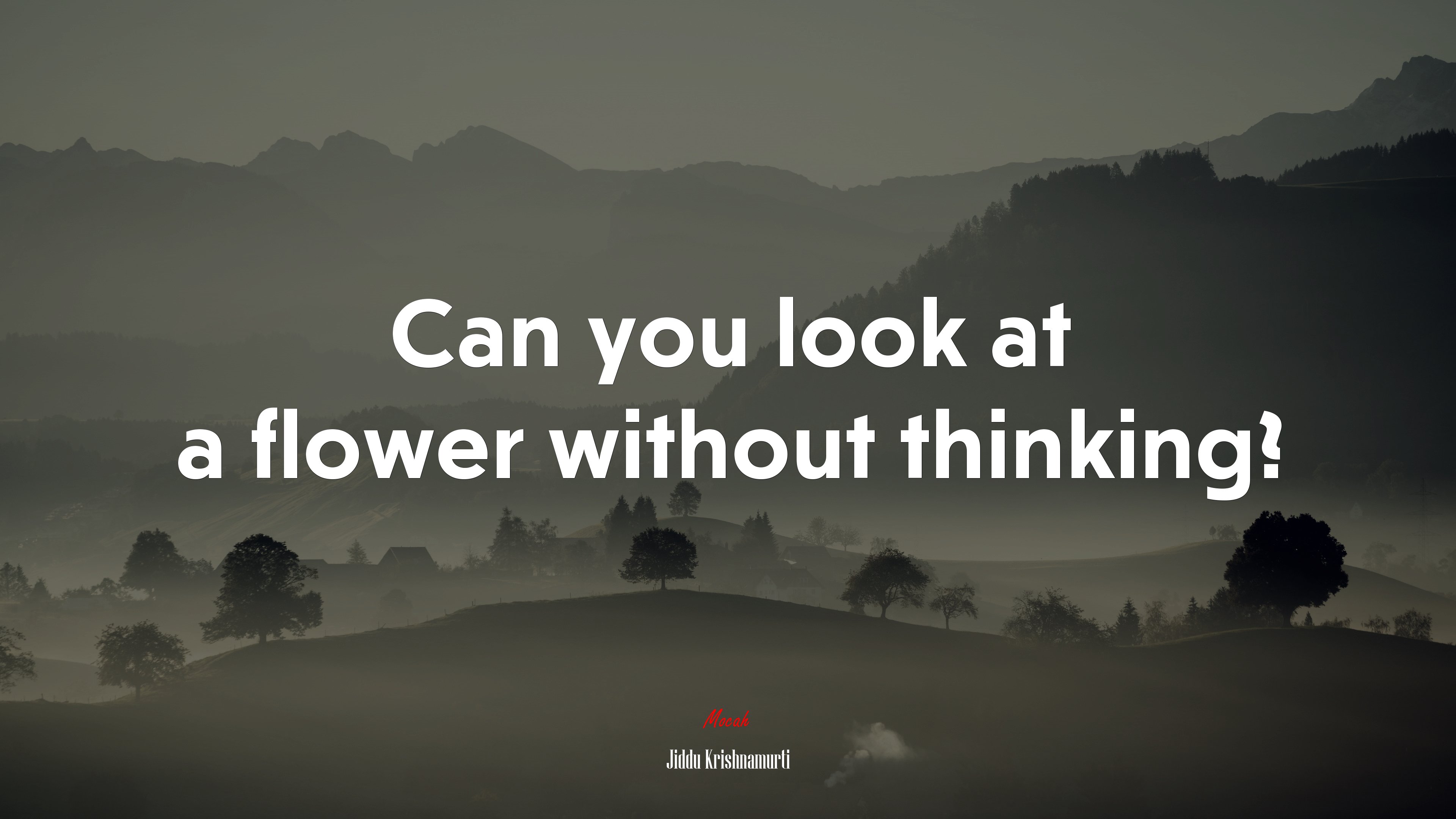 Can you look at a flower without thinking? | Jiddu Krishnamurti quote HD Wallpaper
