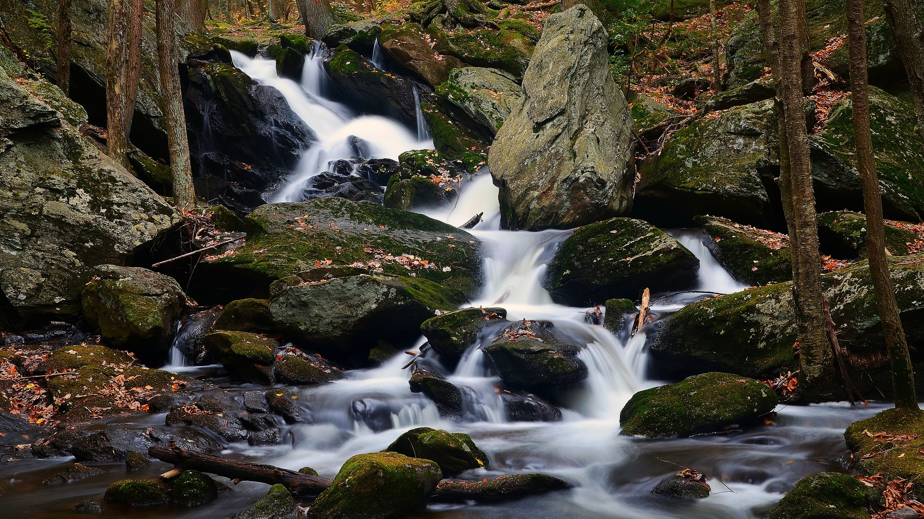Waterfall cascading over mossy rocks in a forest HD Wallpaper