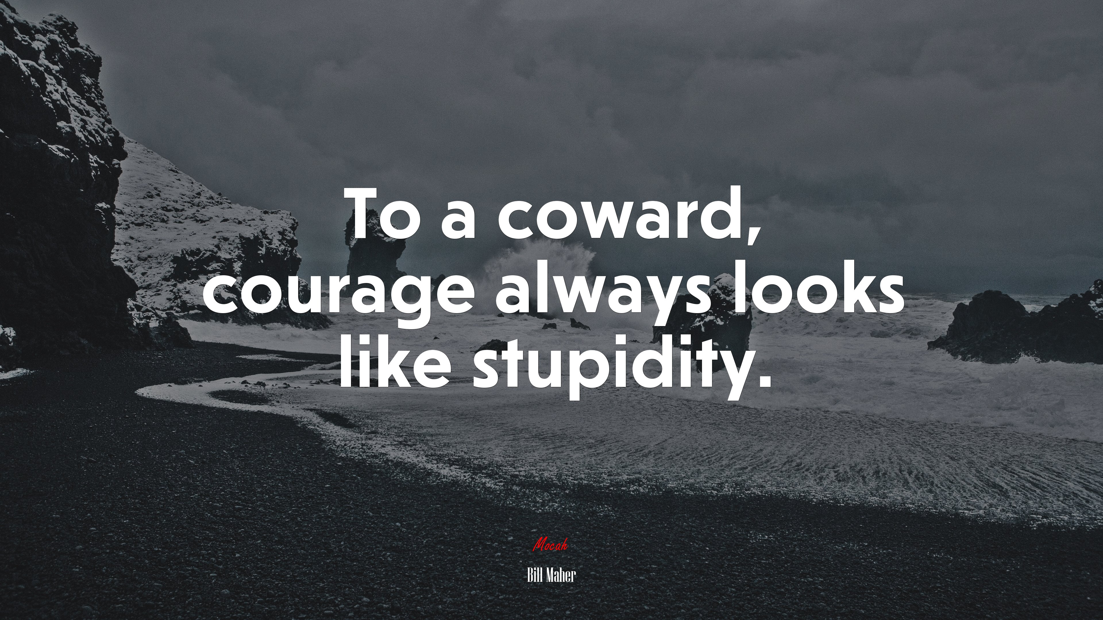 To a coward, courage always looks like stupidity. | Bill Maher quote HD Wallpaper