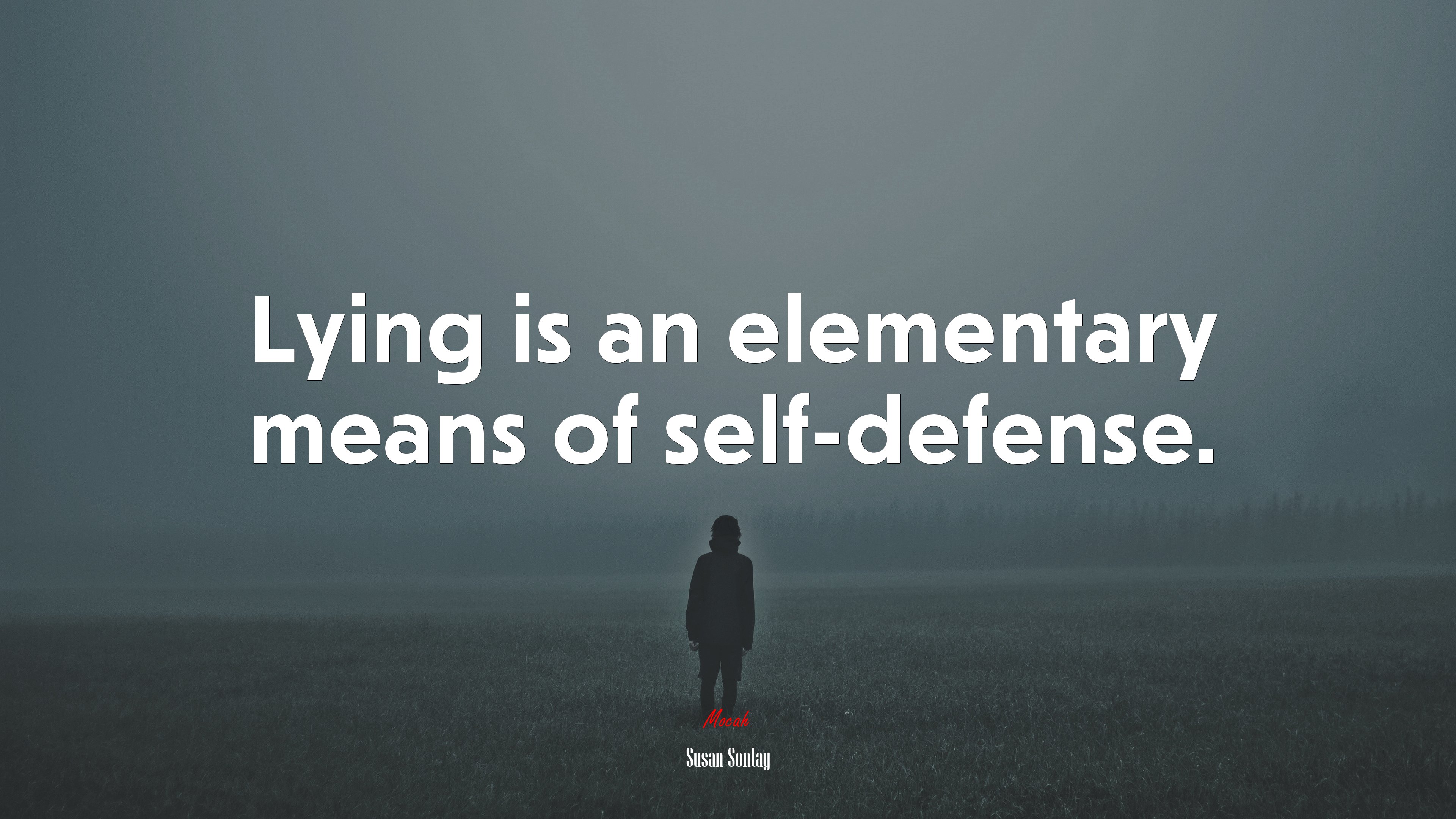 Lying is an elementary means of self-defense. | Susan Sontag quote HD Wallpaper