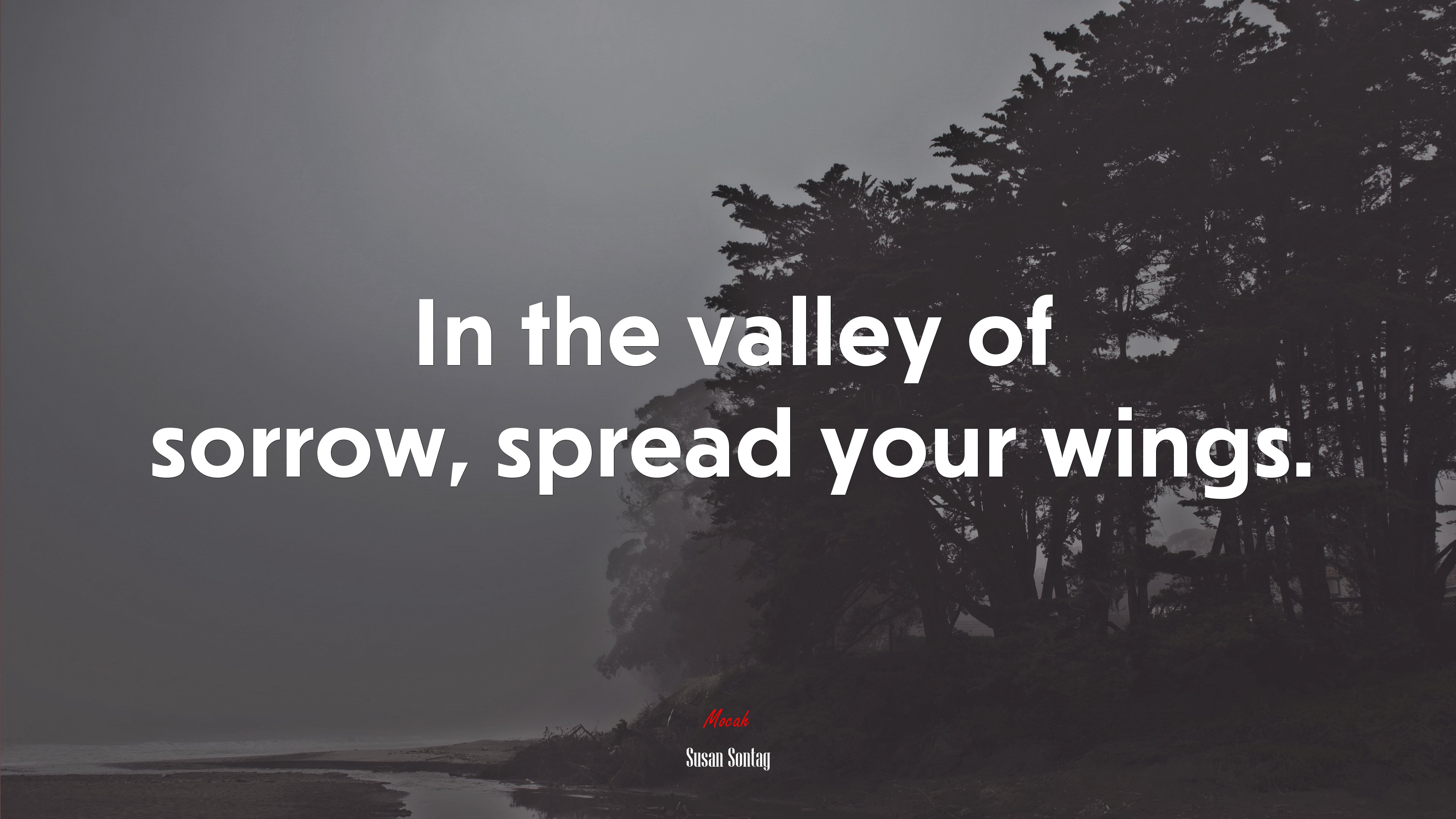 In the valley of sorrow, spread your wings. | Susan Sontag quote HD Wallpaper