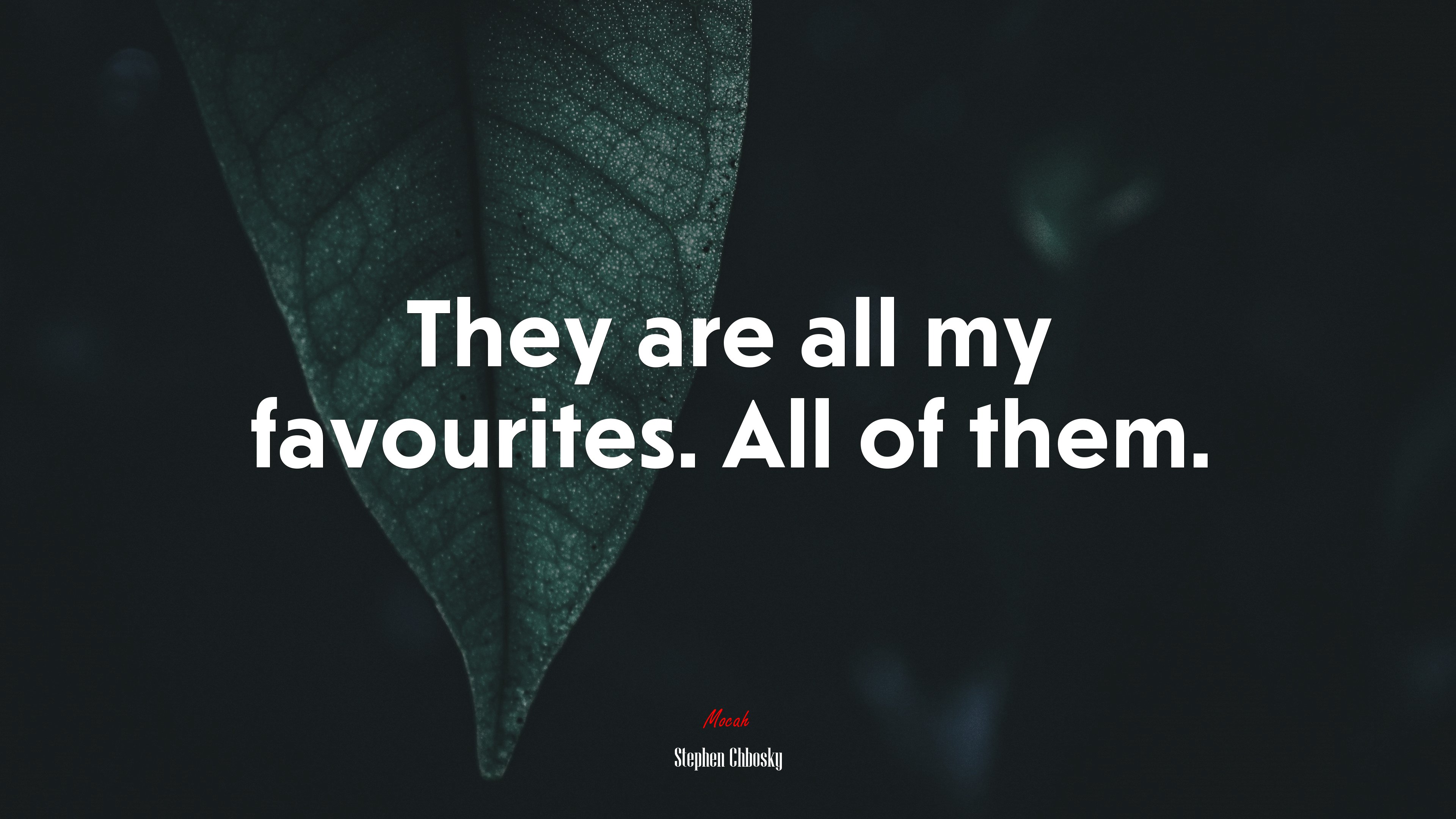They are all my favourites. All of them. | Stephen Chbosky quote HD Wallpaper