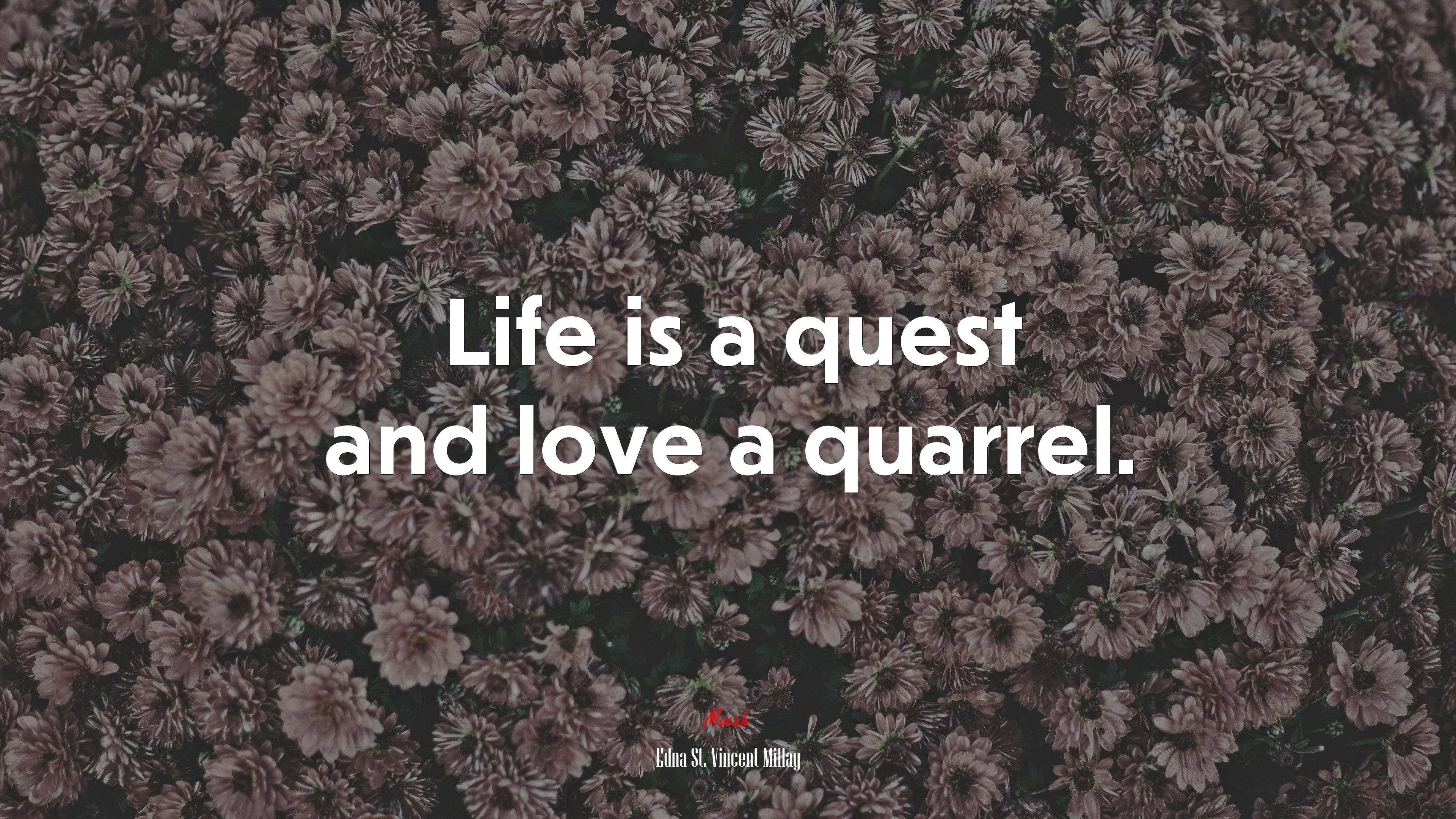Life is a quest and love a quarrel. | Edna St. Vincent Millay quote HD Wallpaper