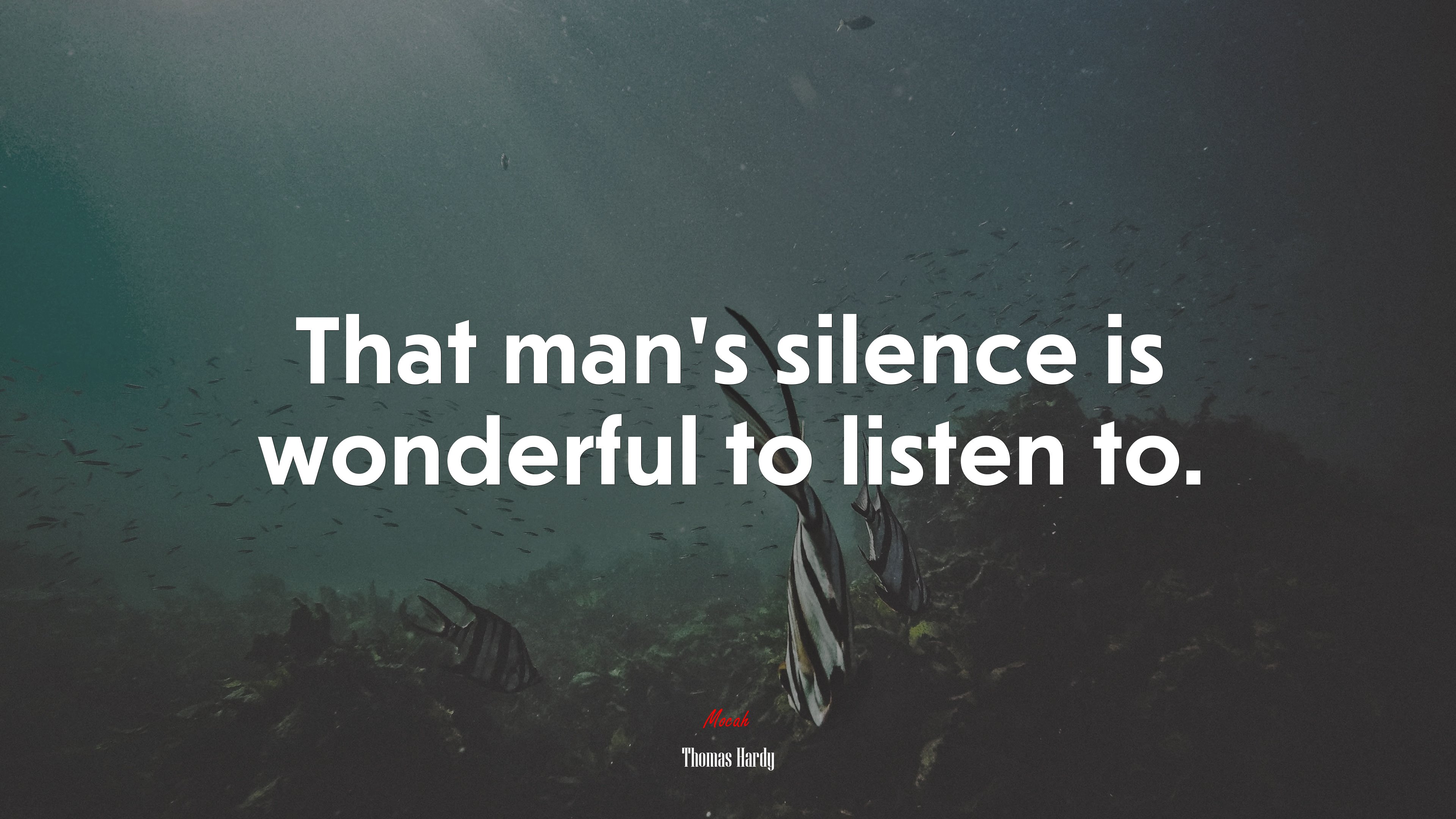 That man’s silence is wonderful to listen to. | Thomas Hardy quote HD Wallpaper