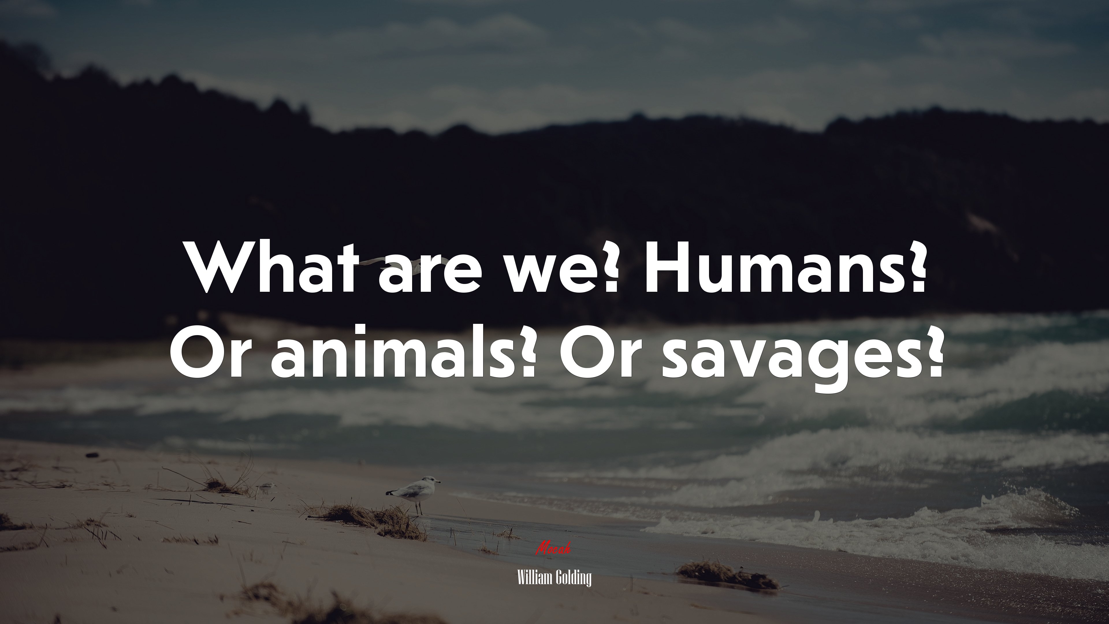 What are we? Humans? Or animals? Or savages? | William Golding quote HD Wallpaper