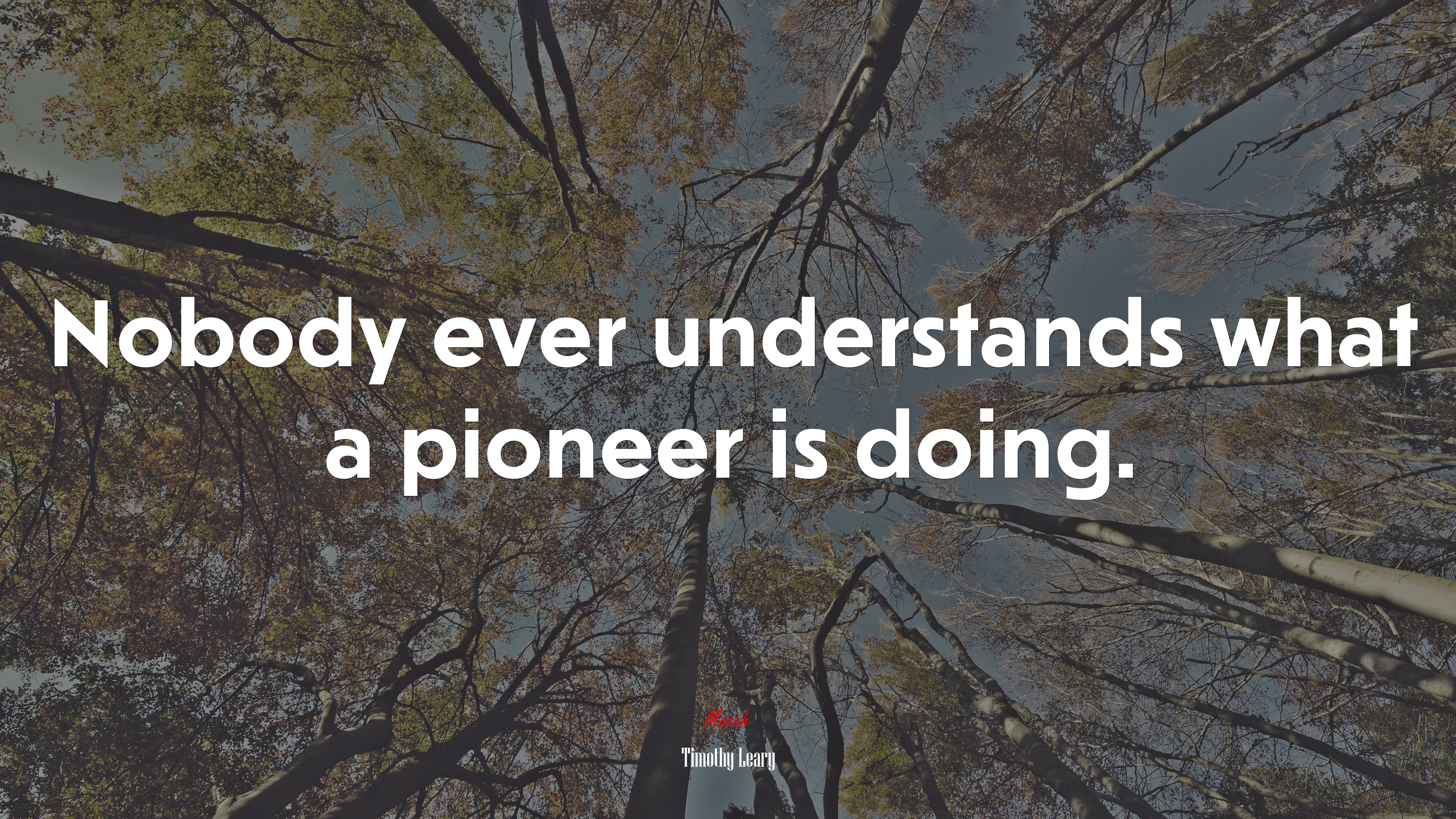 Nobody ever understands what a pioneer is doing. | Timothy Leary quote HD Wallpaper