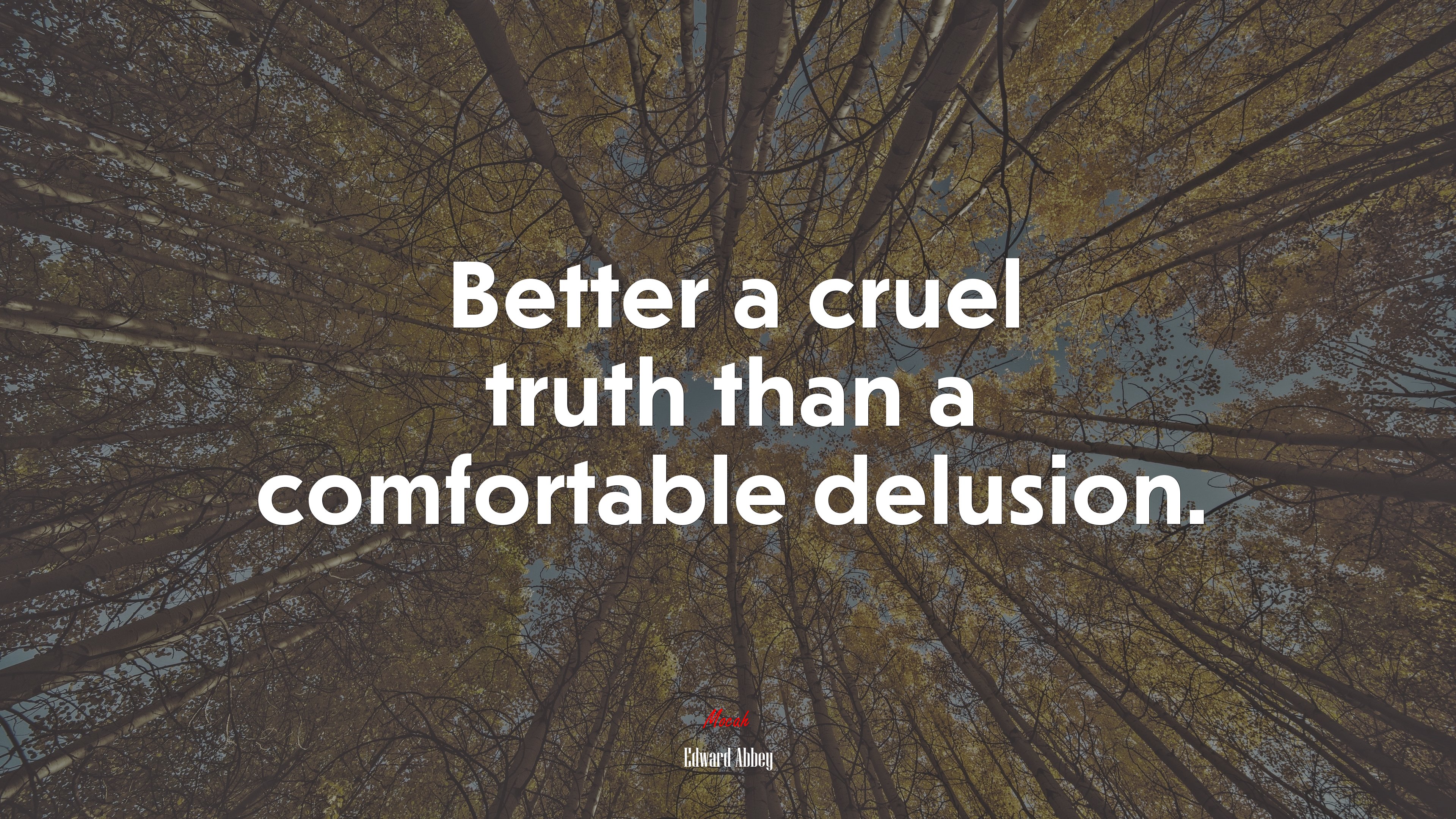 Better a cruel truth than a comfortable delusion. | Edward Abbey quote HD Wallpaper