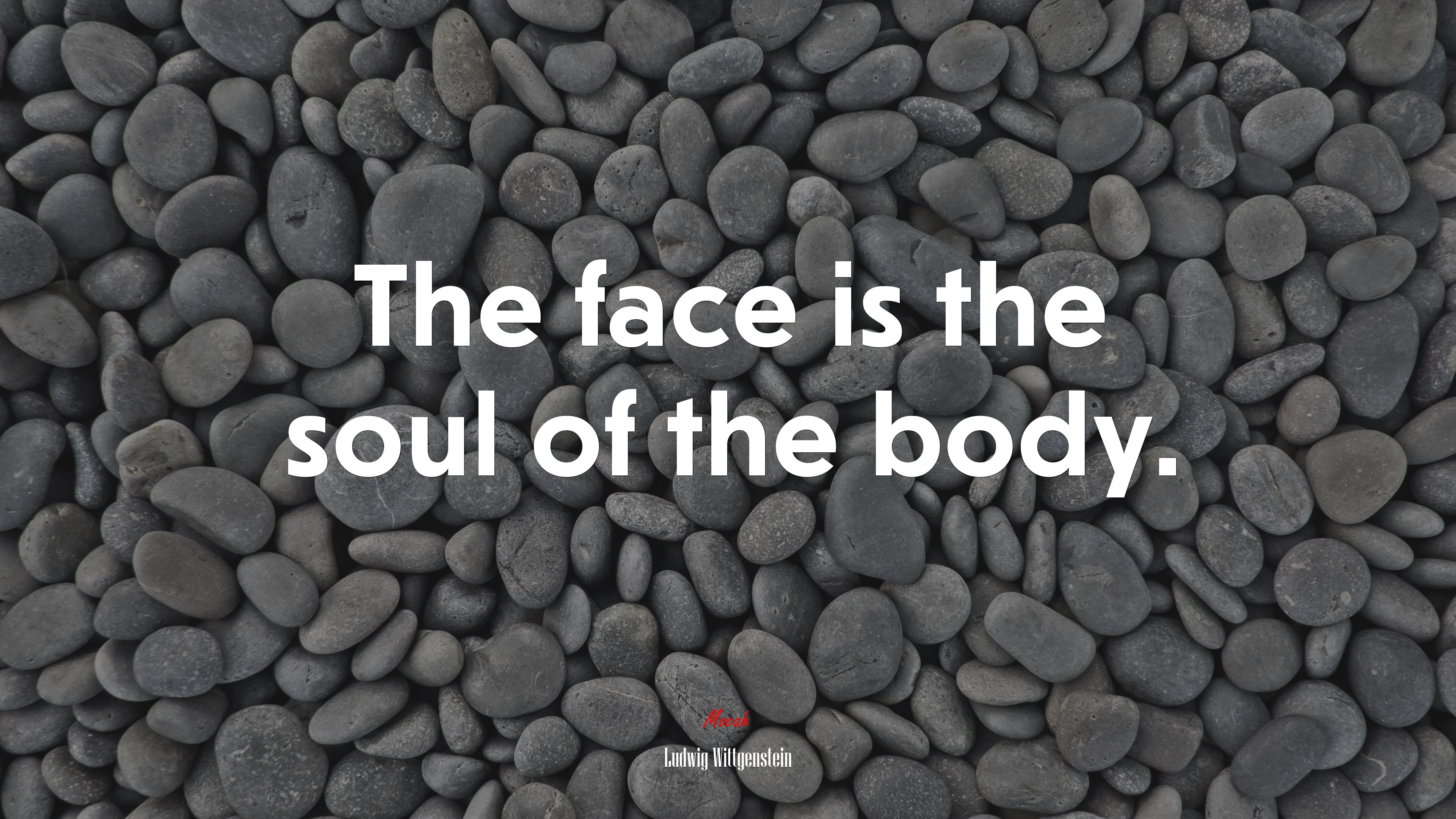 The face is the soul of the body. | Ludwig Wittgenstein quote HD Wallpaper