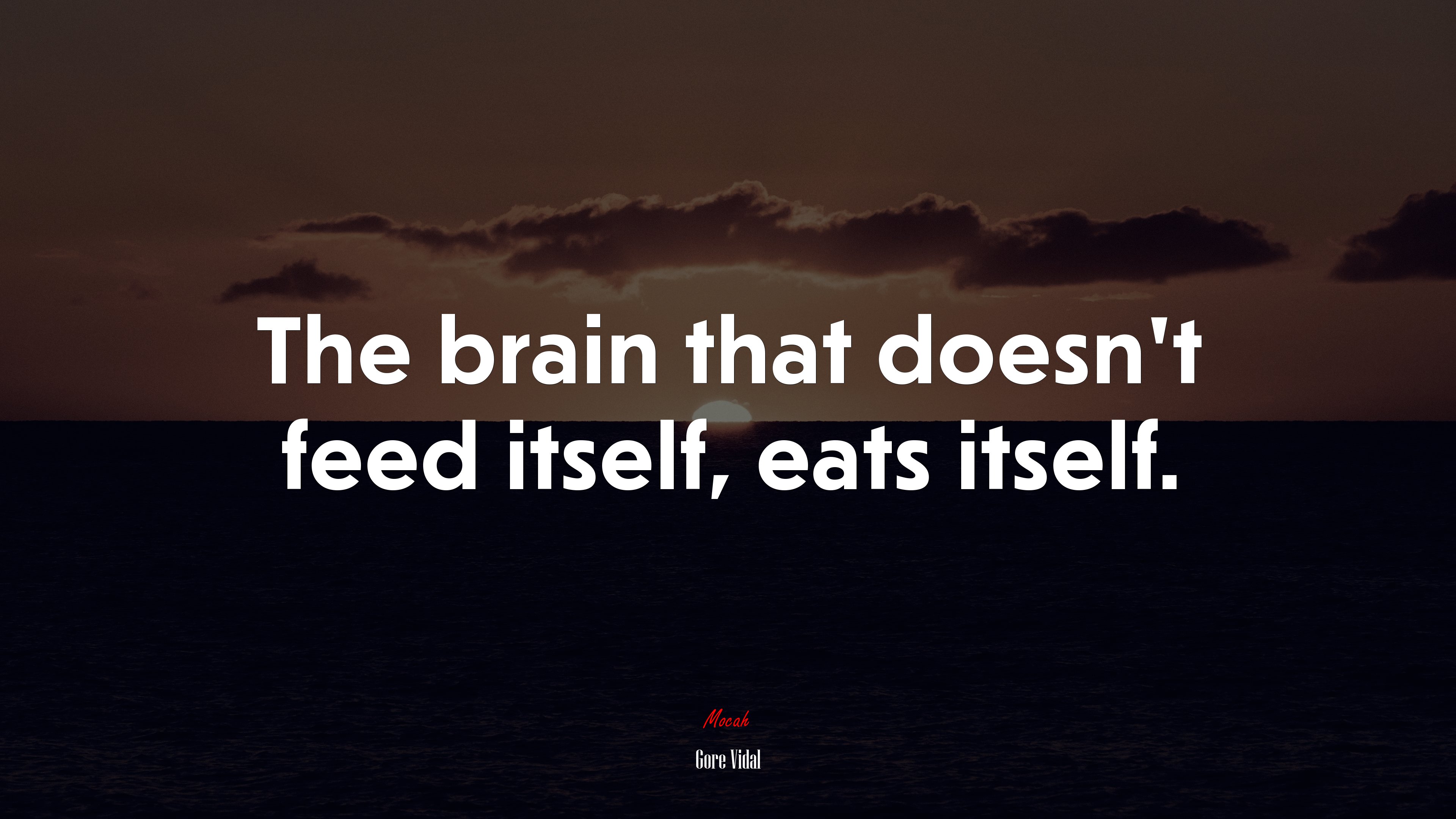 The brain that doesn’t feed itself, eats itself. | Gore Vidal quote HD Wallpaper