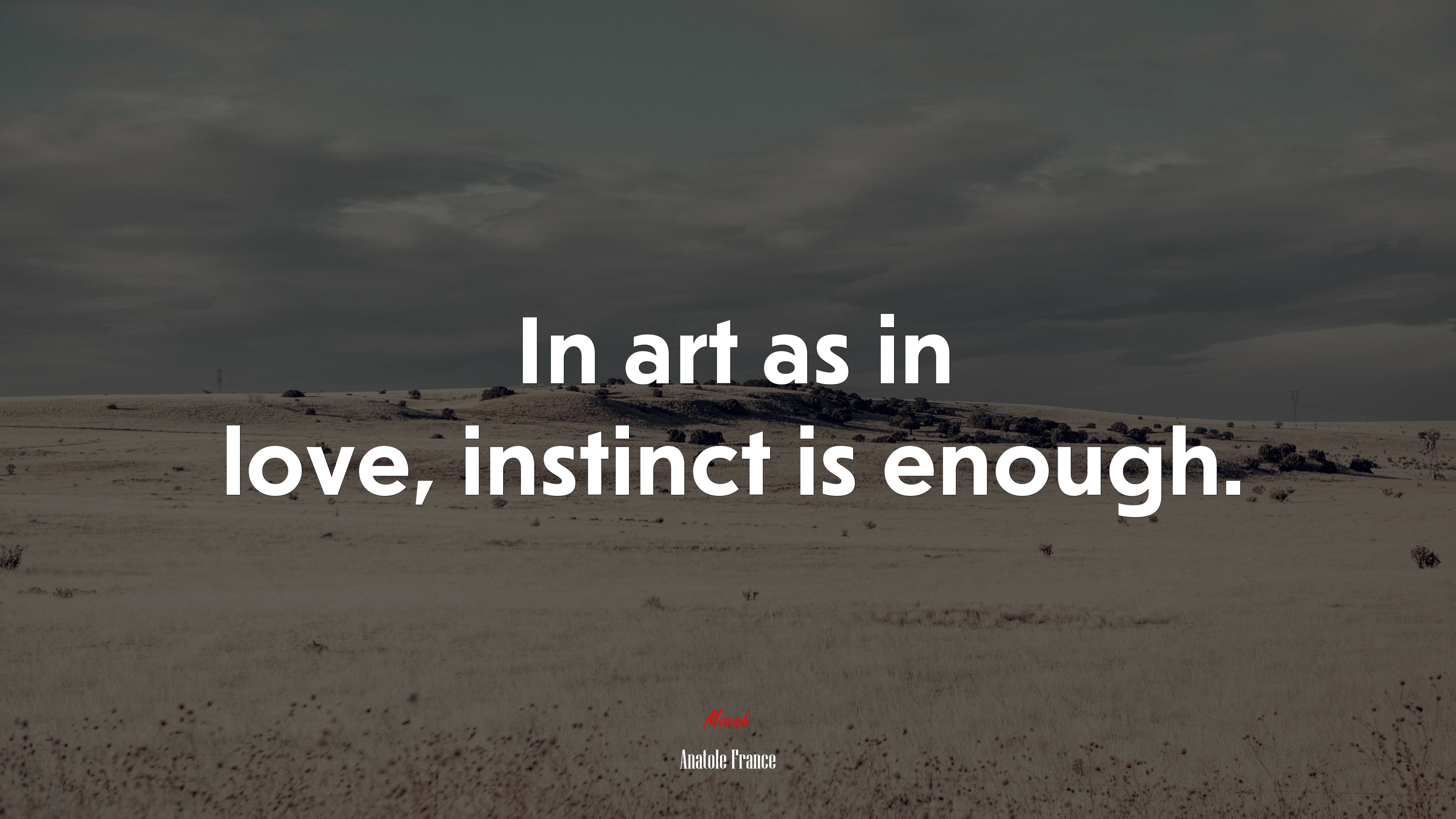 In art as in love, instinct is enough. | Anatole France quote HD Wallpaper