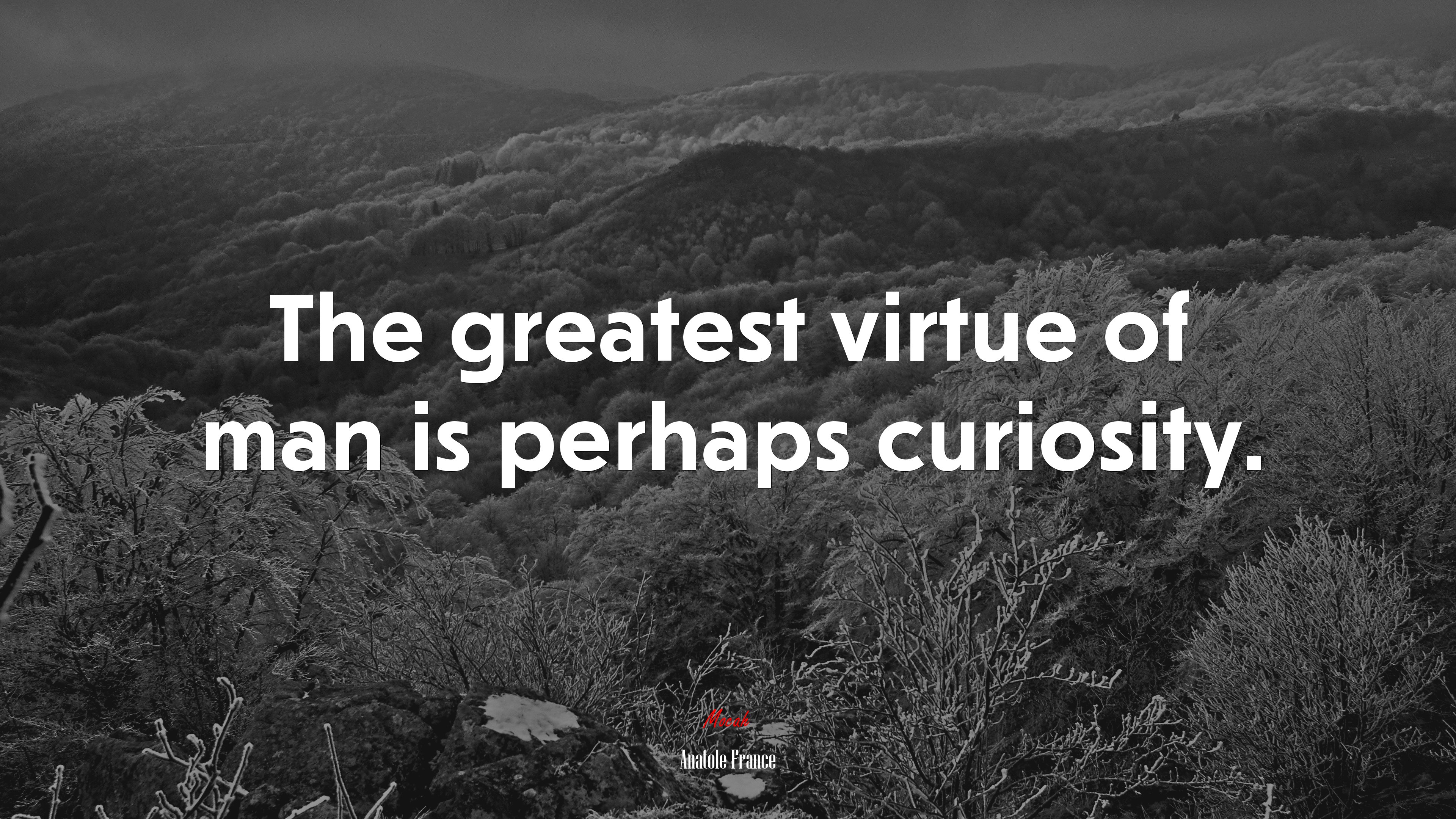 The greatest virtue of man is perhaps curiosity. | Anatole France quote HD Wallpaper