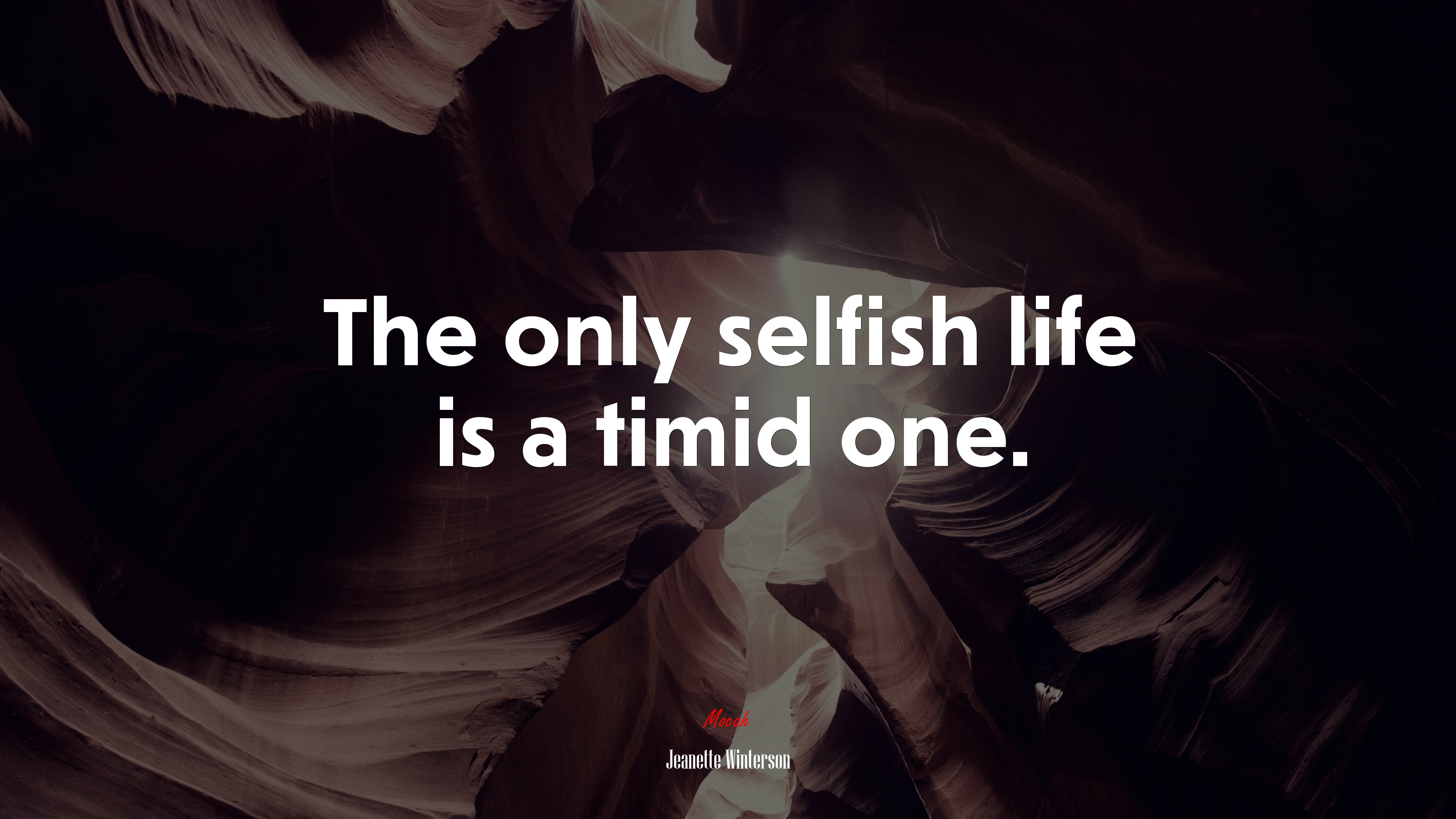 The only selfish life is a timid one. | Jeanette Winterson quote HD Wallpaper