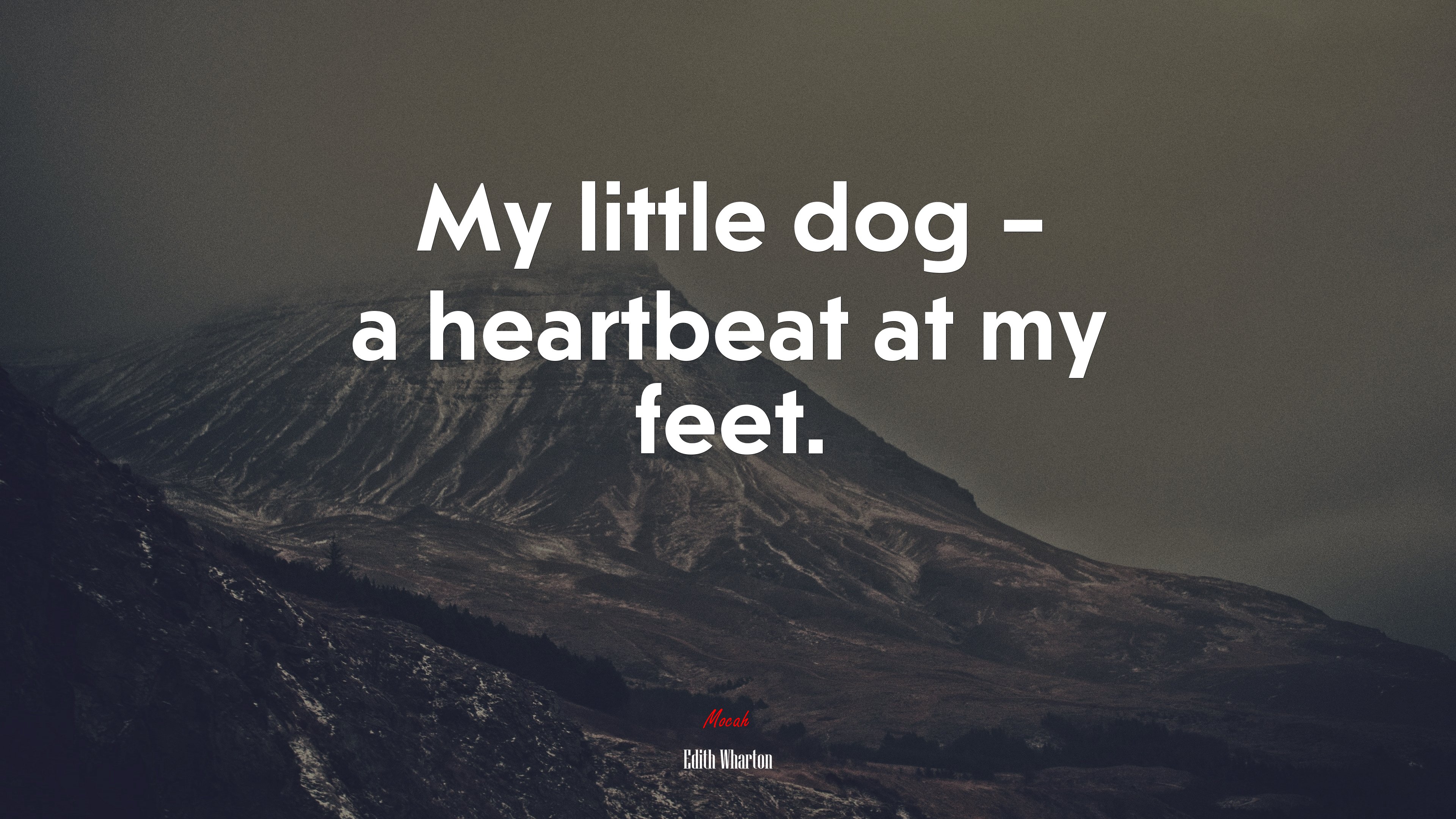 My little dog – a heartbeat at my feet. | Edith Wharton quote HD Wallpaper