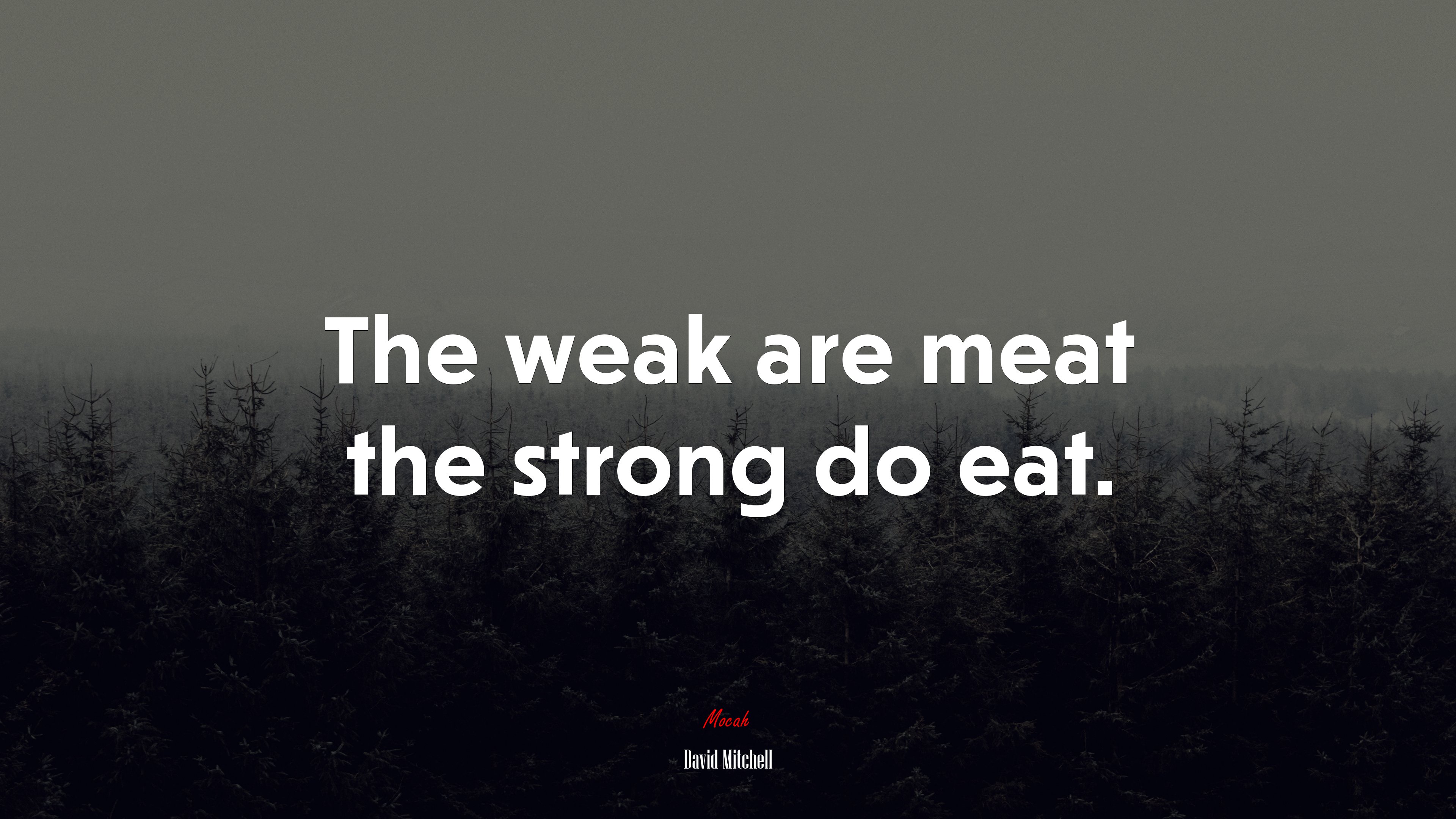 The weak are meat the strong do eat. | David Mitchell quote HD Wallpaper