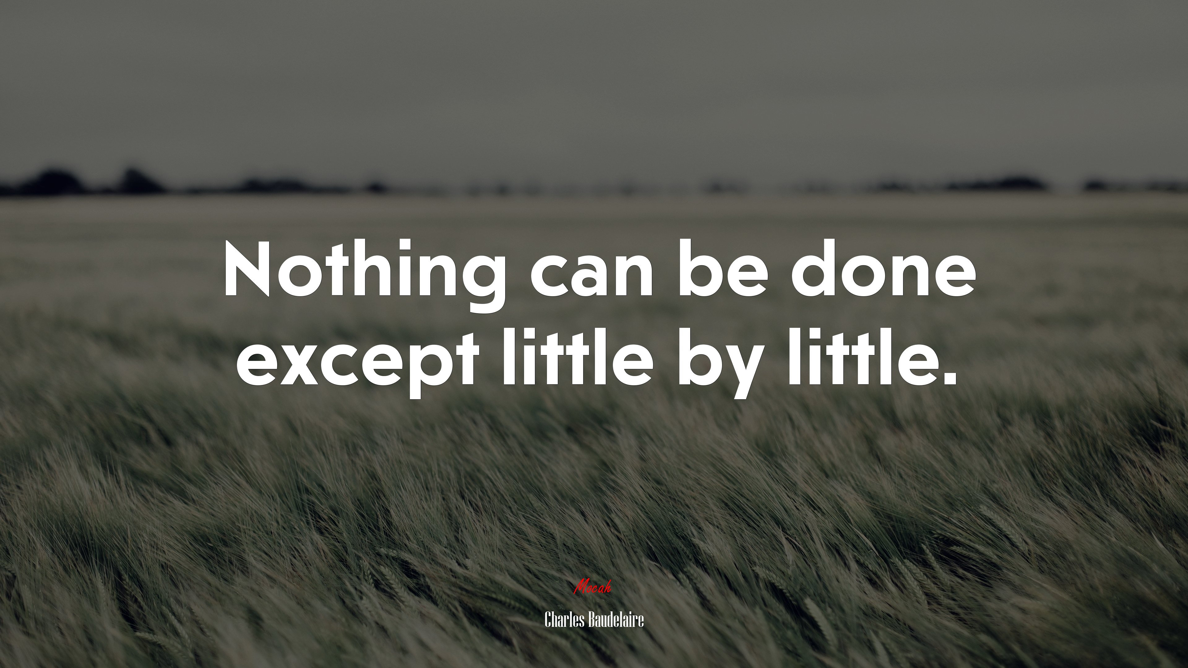 Nothing can be done except little by little. | Charles Baudelaire quote HD Wallpaper