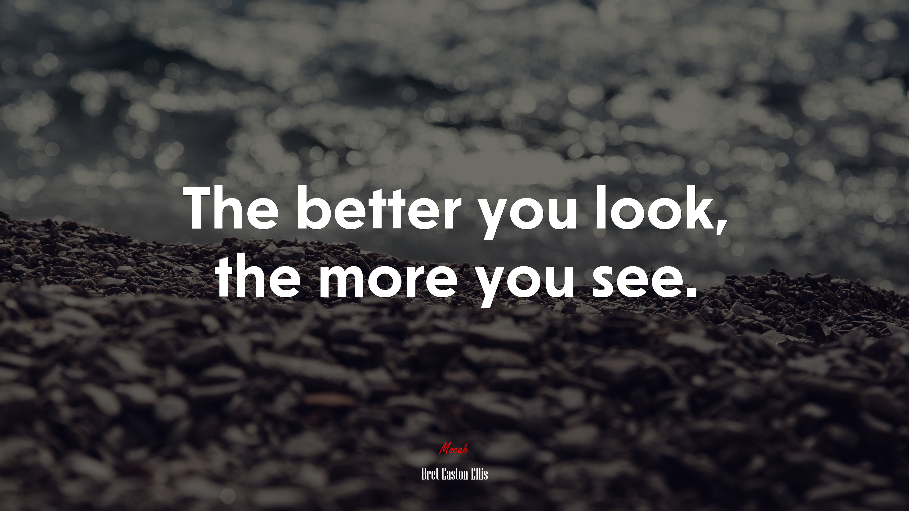 The better you look, the more you see. | Bret Easton Ellis quote HD Wallpaper