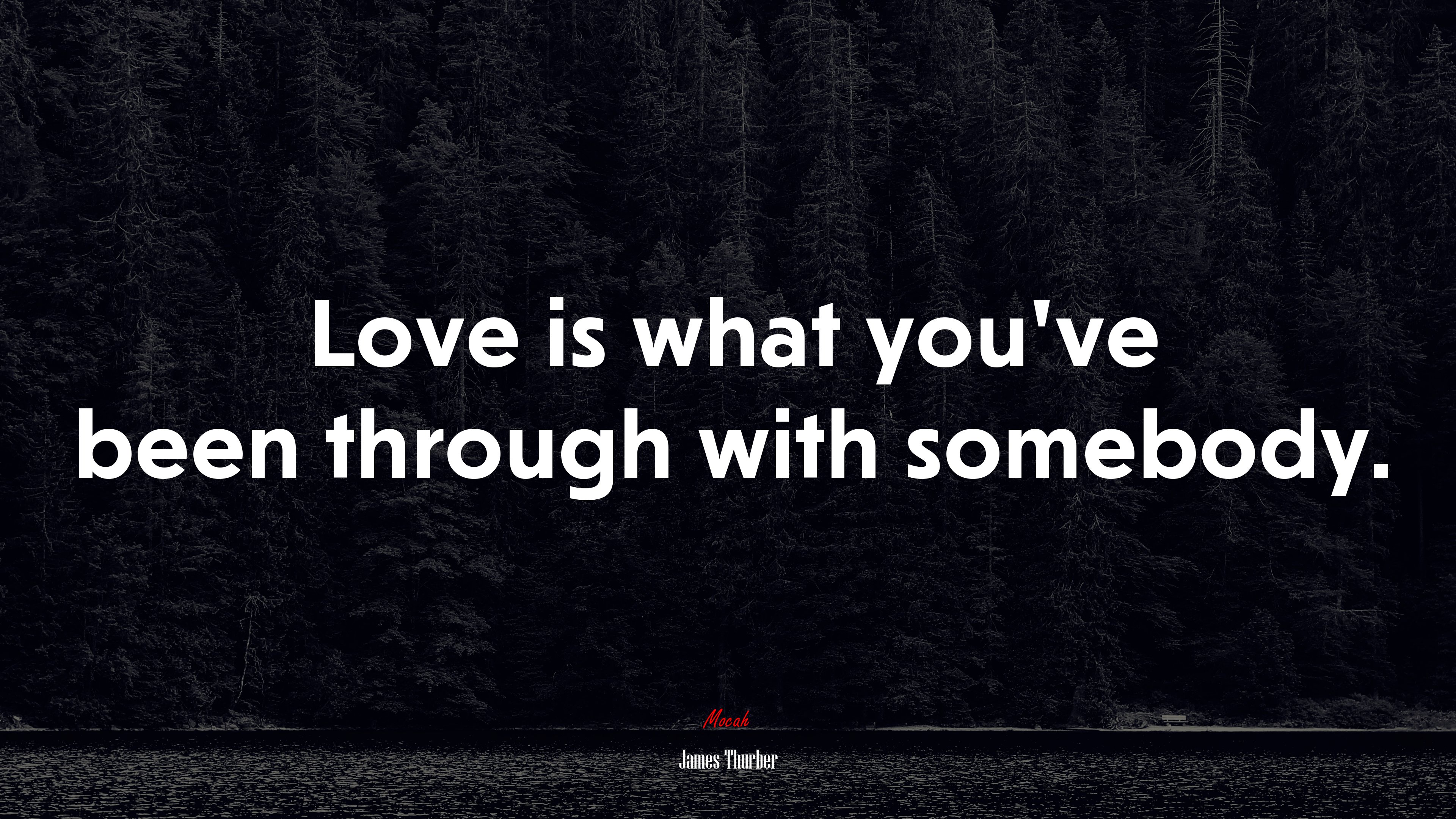 Love is what you’ve been through with somebody. | James Thurber quote HD Wallpaper