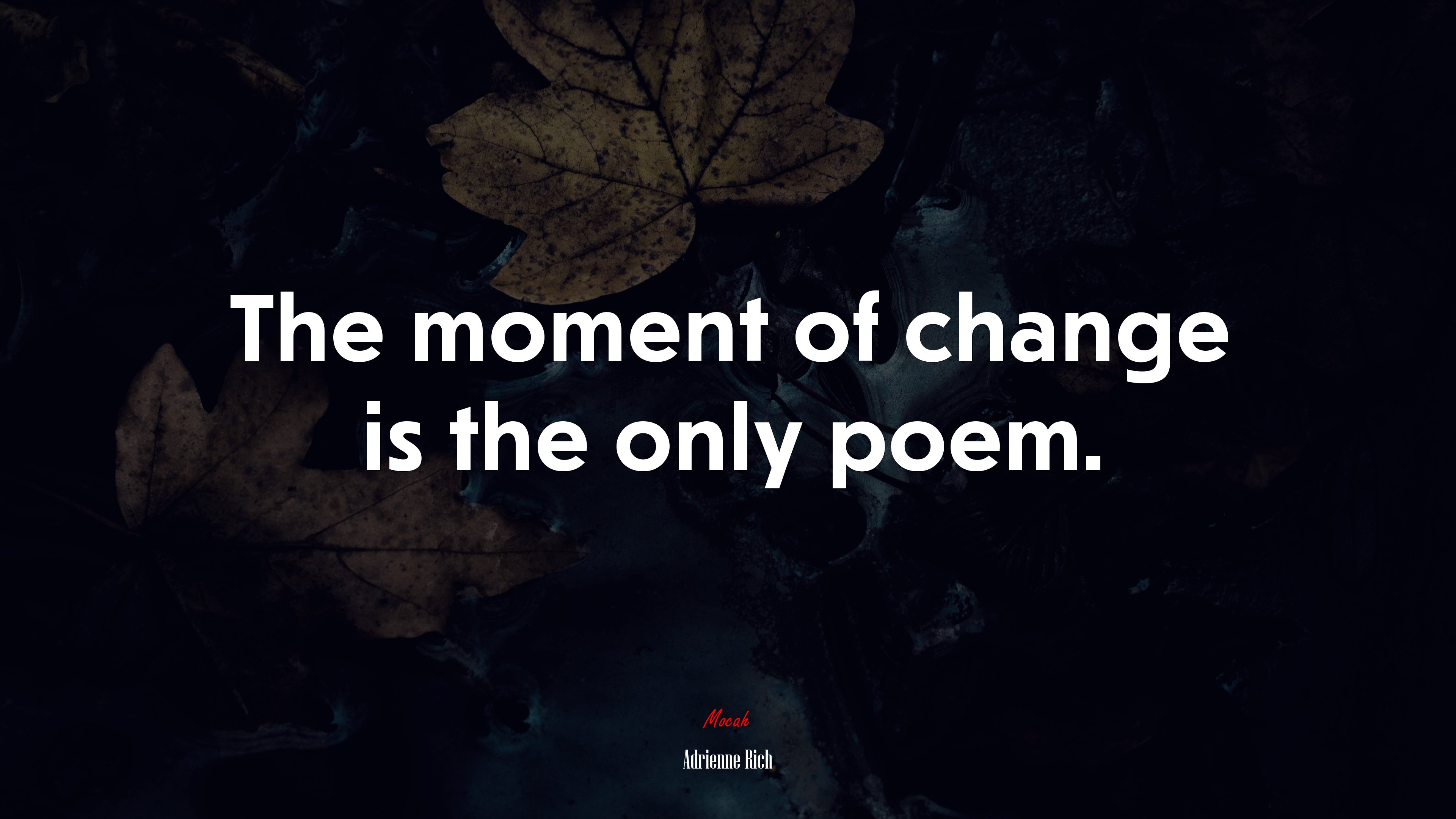 The moment of change is the only poem. | Adrienne Rich quote HD Wallpaper