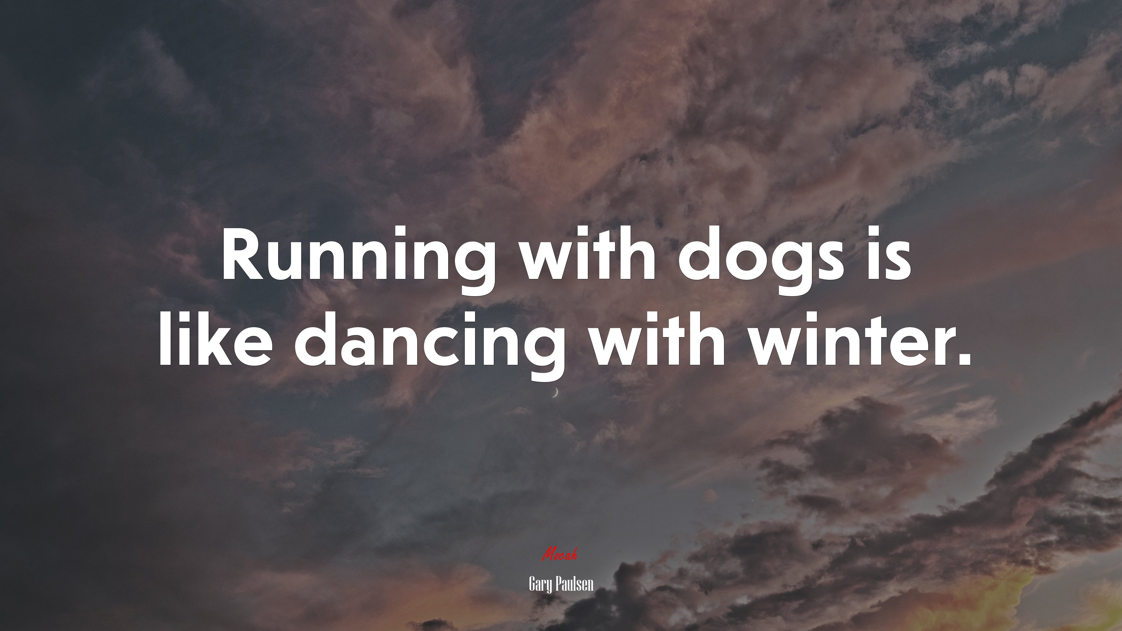 Running with dogs is like dancing with winter. | Gary Paulsen quote HD Wallpaper