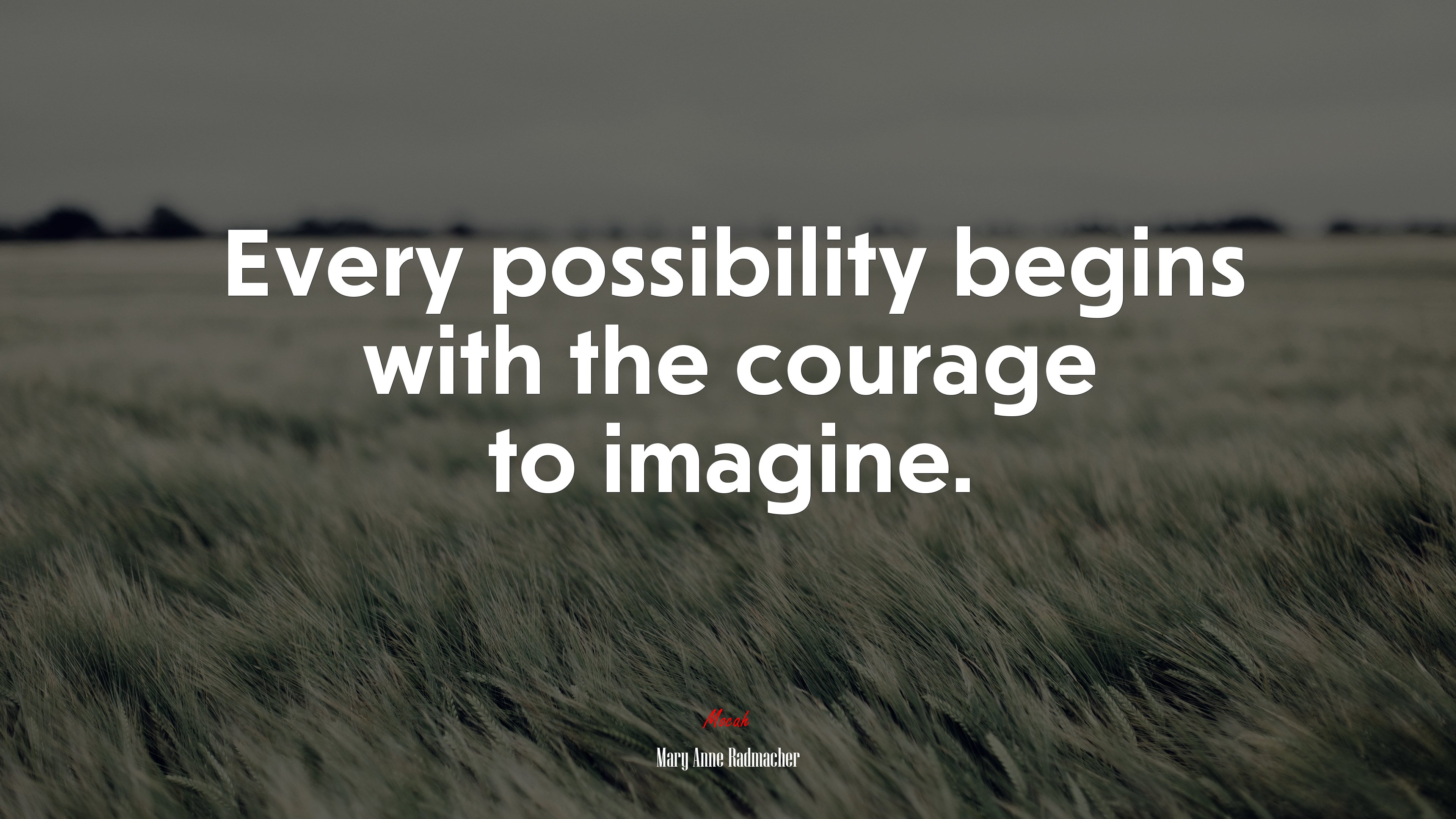 Every possibility begins with the courage to imagine. | Mary Anne Radmacher quote HD Wallpaper