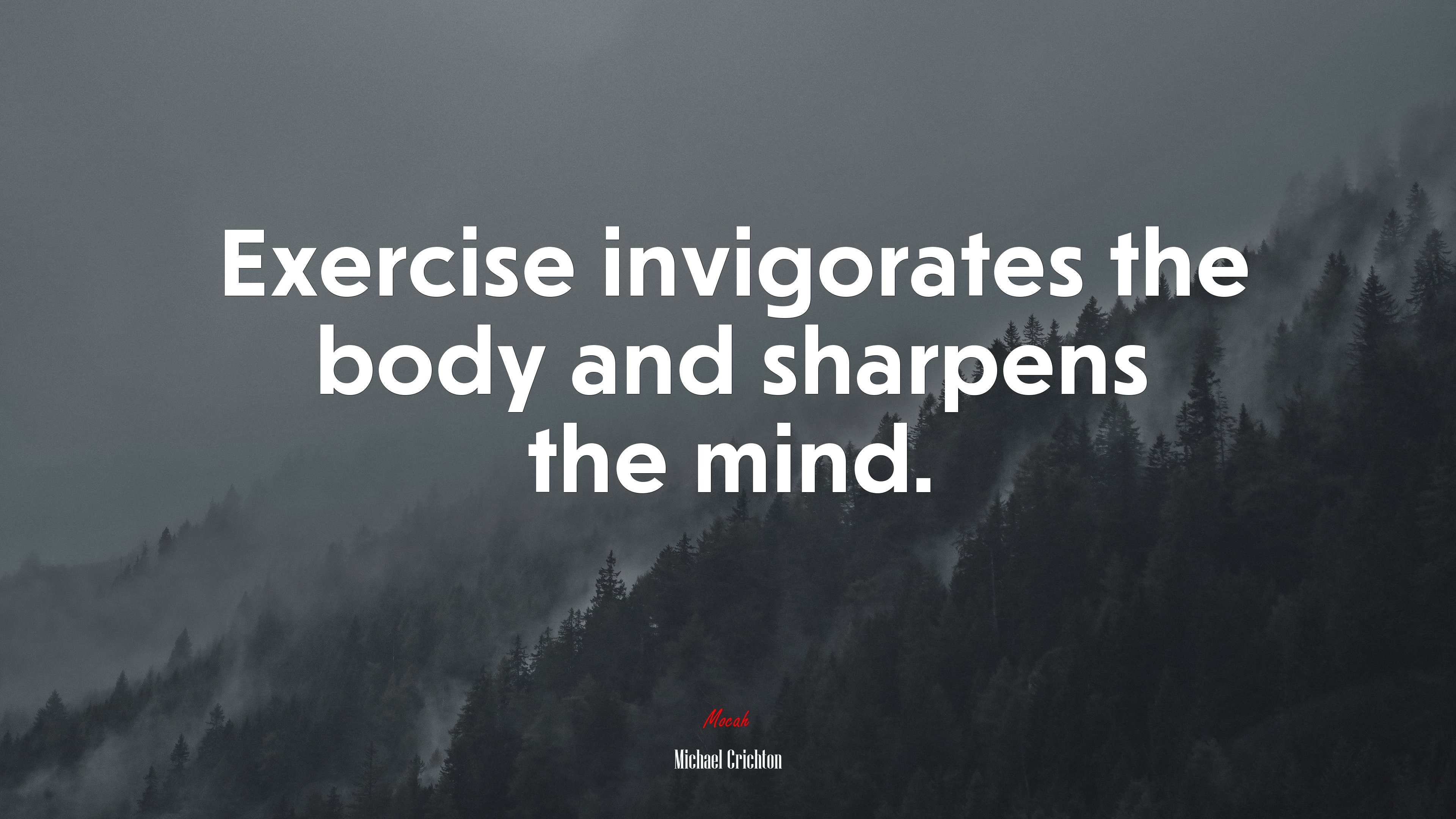Exercise invigorates the body and sharpens the mind. | Michael Crichton quote HD Wallpaper