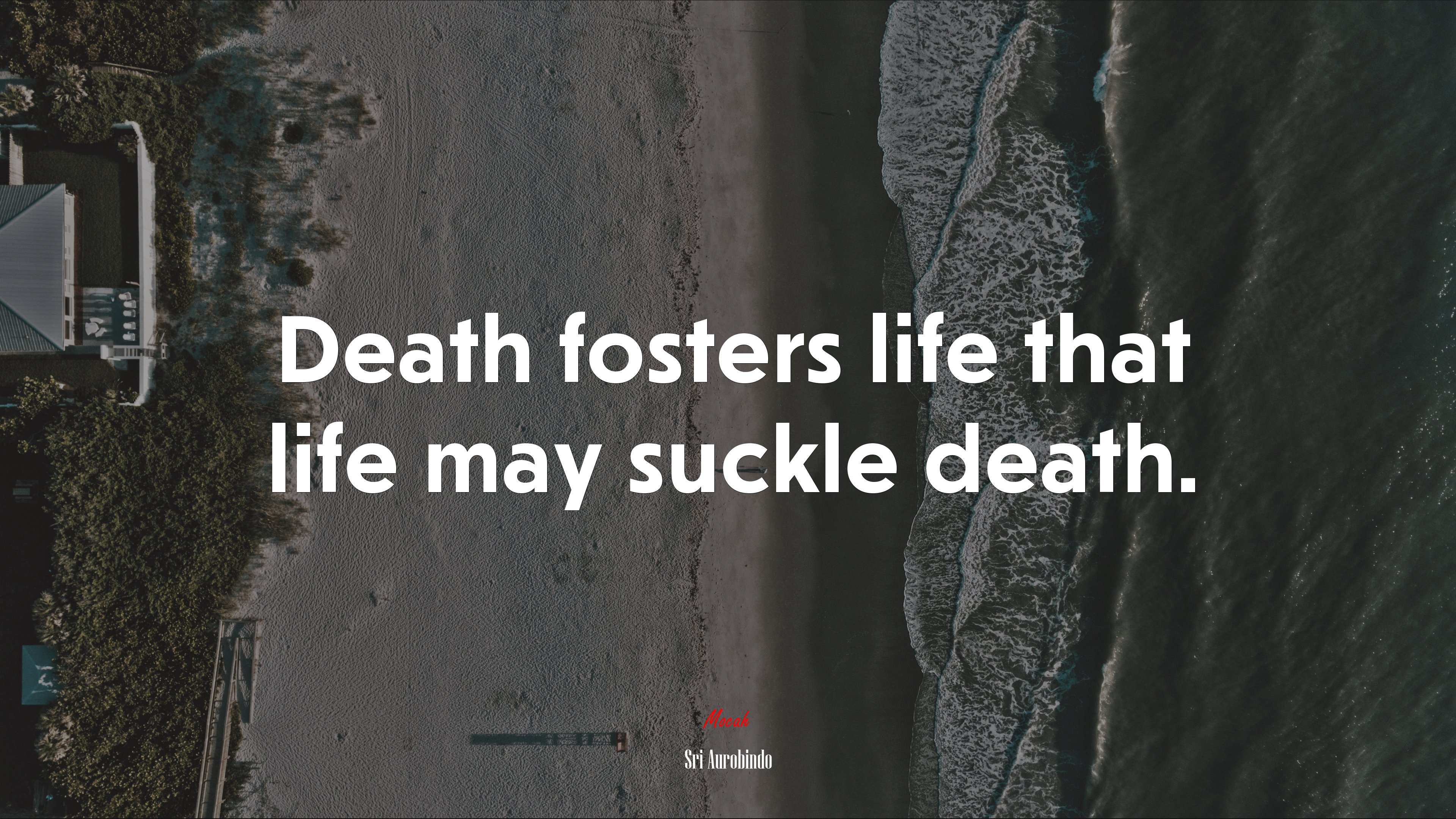 Death fosters life that life may suckle death. | Sri Aurobindo quote HD Wallpaper