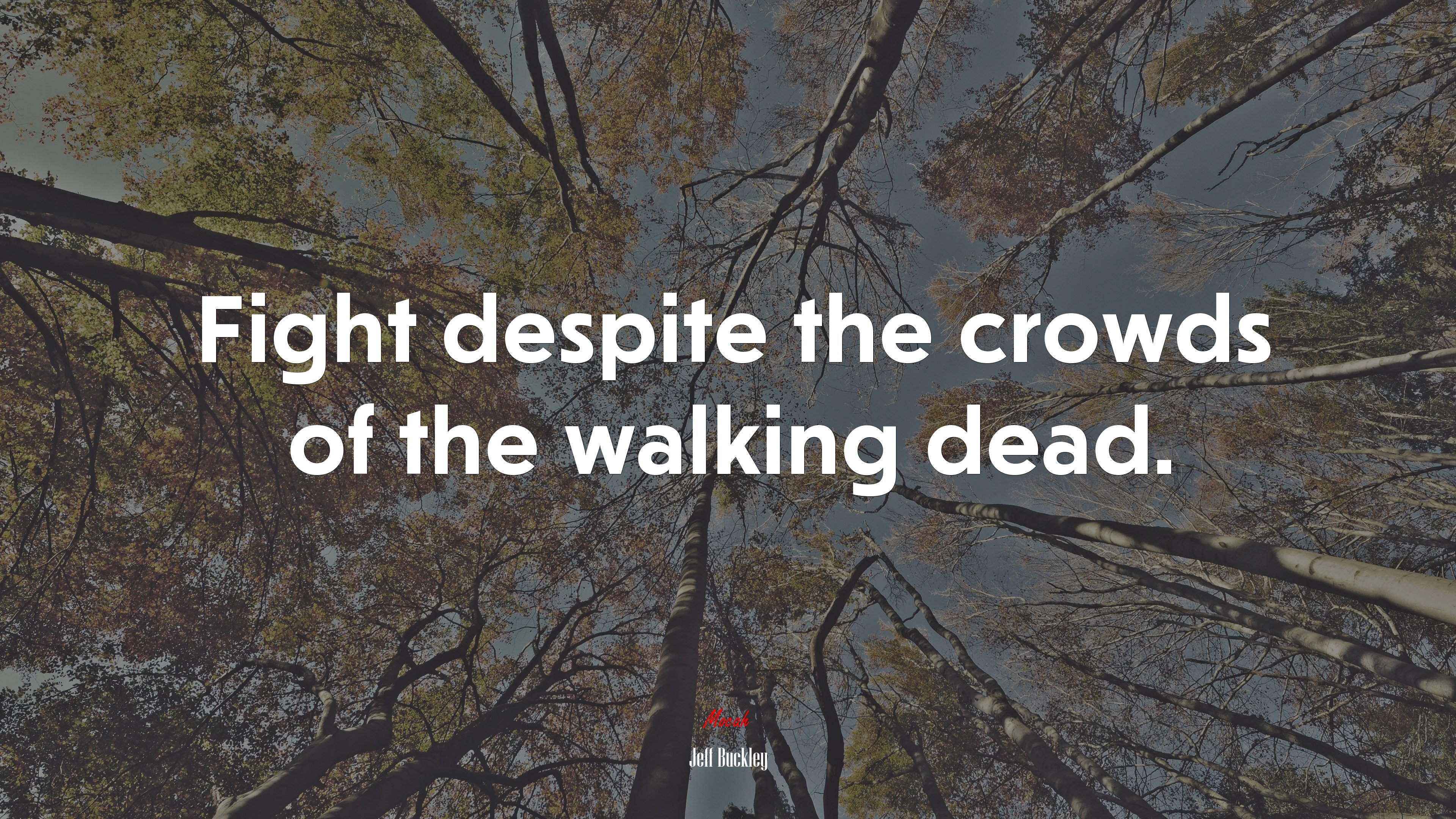 Fight despite the crowds of the walking dead. | Jeff Buckley quote HD Wallpaper