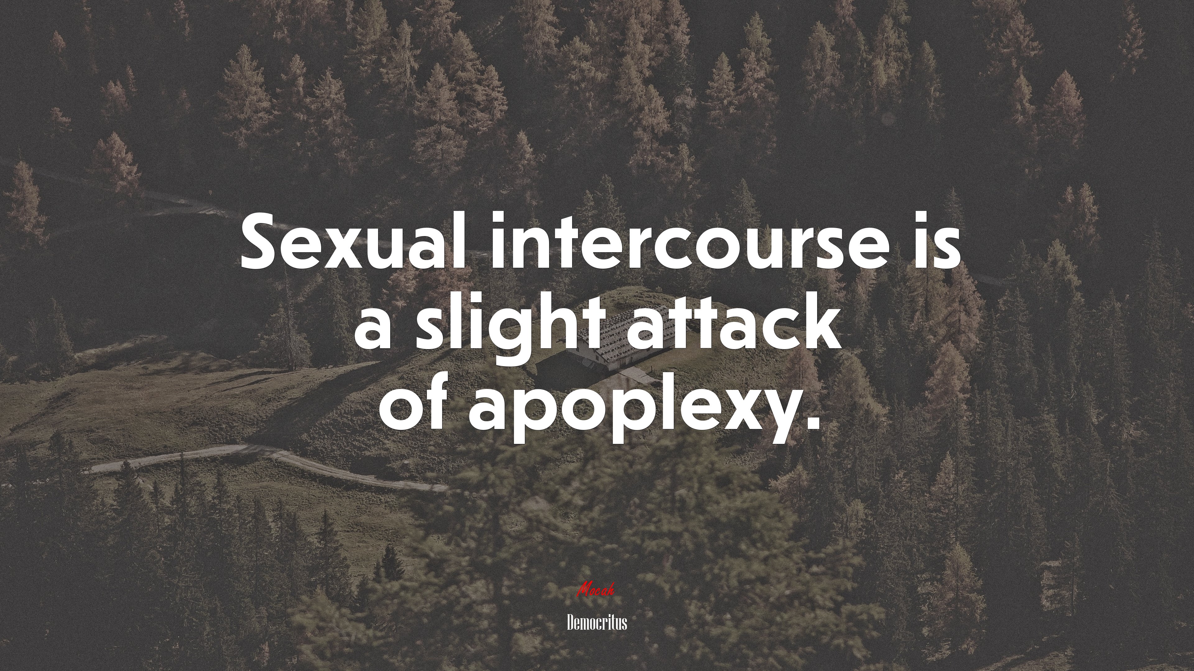 Sexual intercourse is a slight attack of apoplexy. | Democritus quote HD Wallpaper