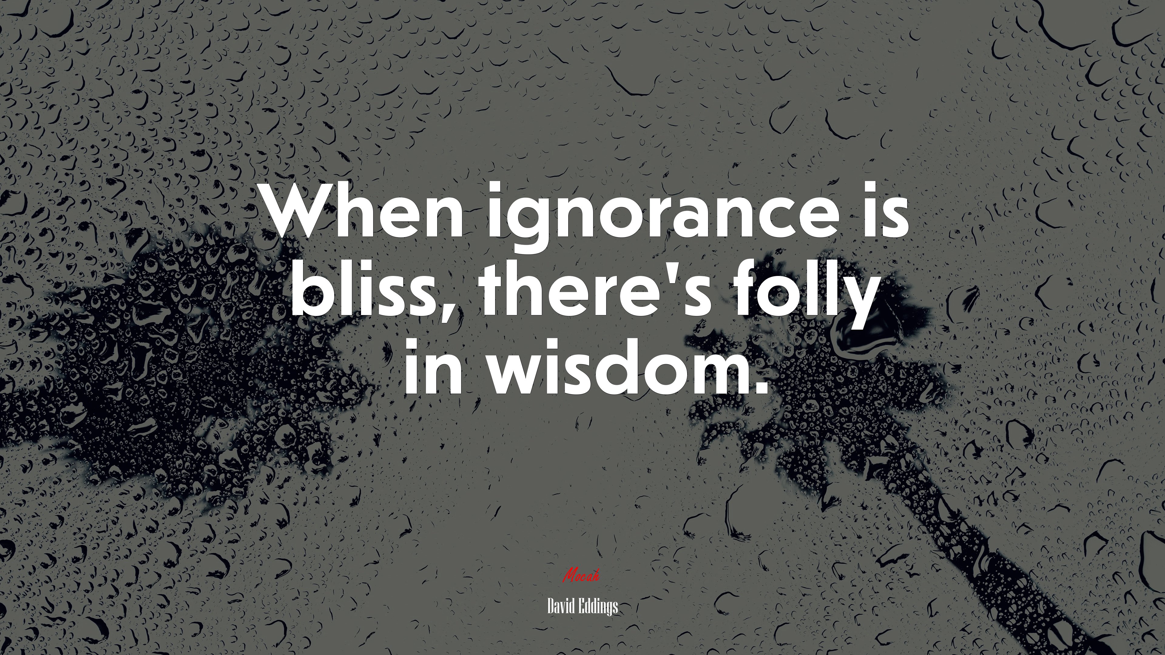 When ignorance is bliss, there’s folly in wisdom. | David Eddings quote HD Wallpaper