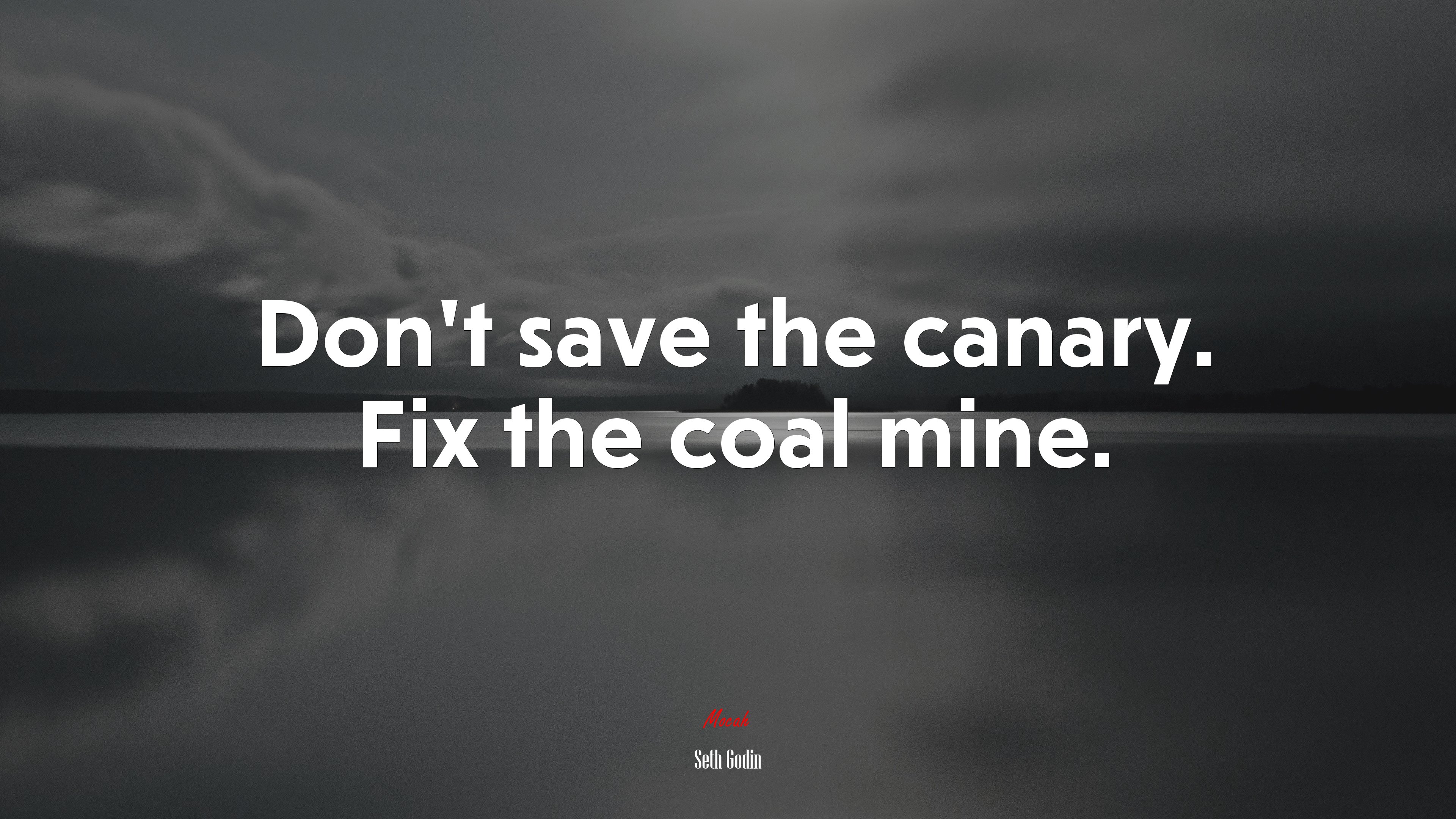 Don’t save the canary. Fix the coal mine. | Seth Godin quote HD Wallpaper