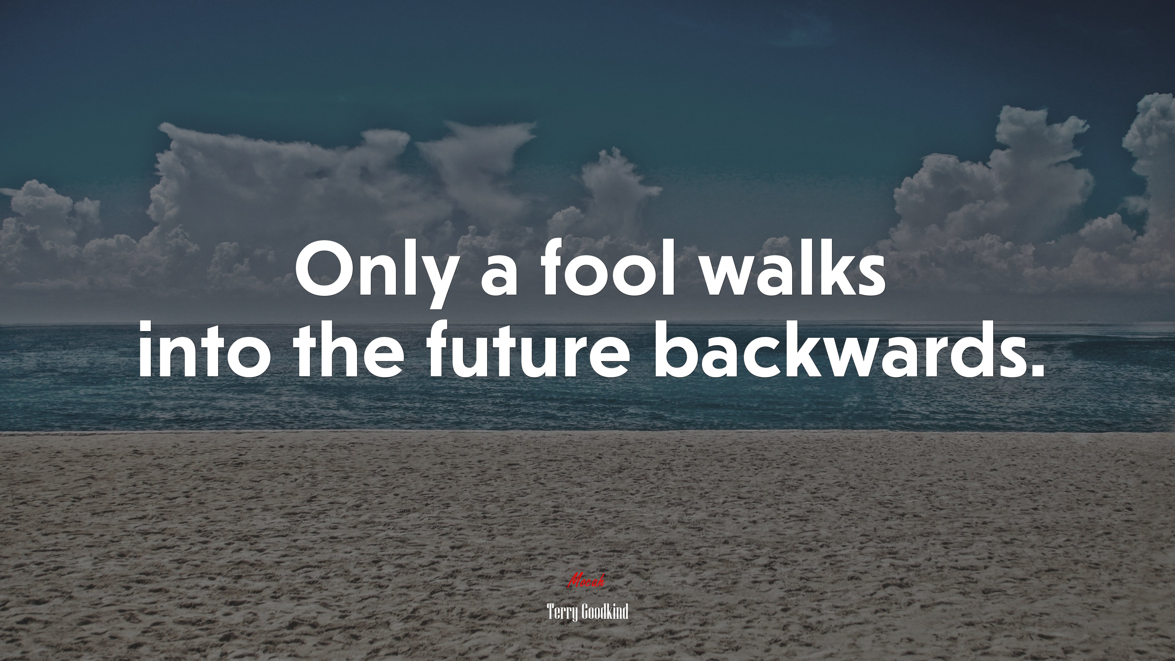 Only a fool walks into the future backwards. | Terry Goodkind quote HD Wallpaper