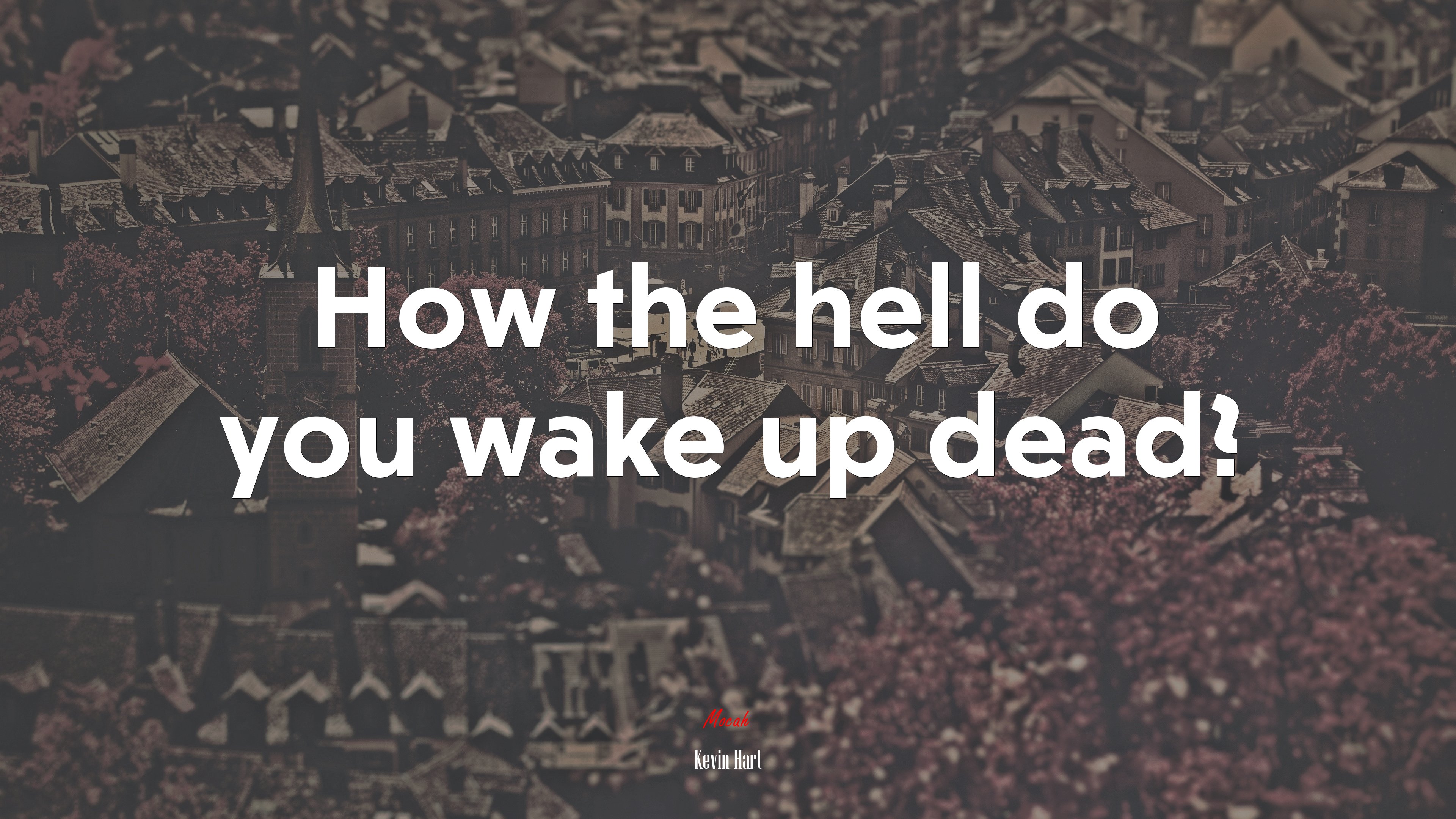 How the hell do you wake up dead? | Kevin Hart quote HD Wallpaper