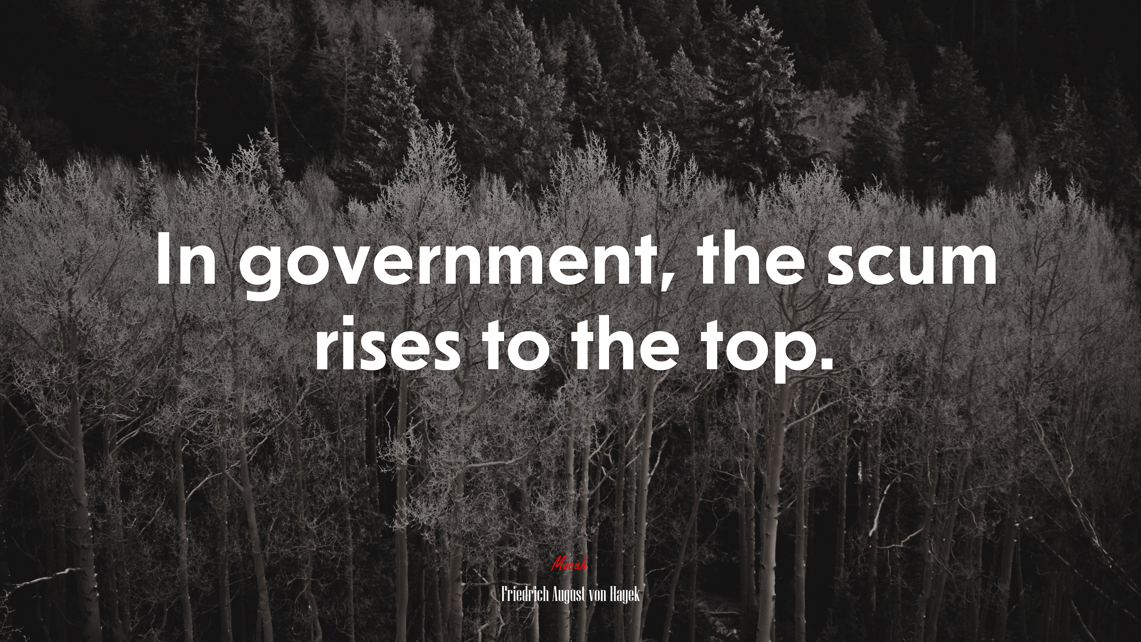 In government, the scum rises to the top. | Friedrich August von Hayek quote HD Wallpaper