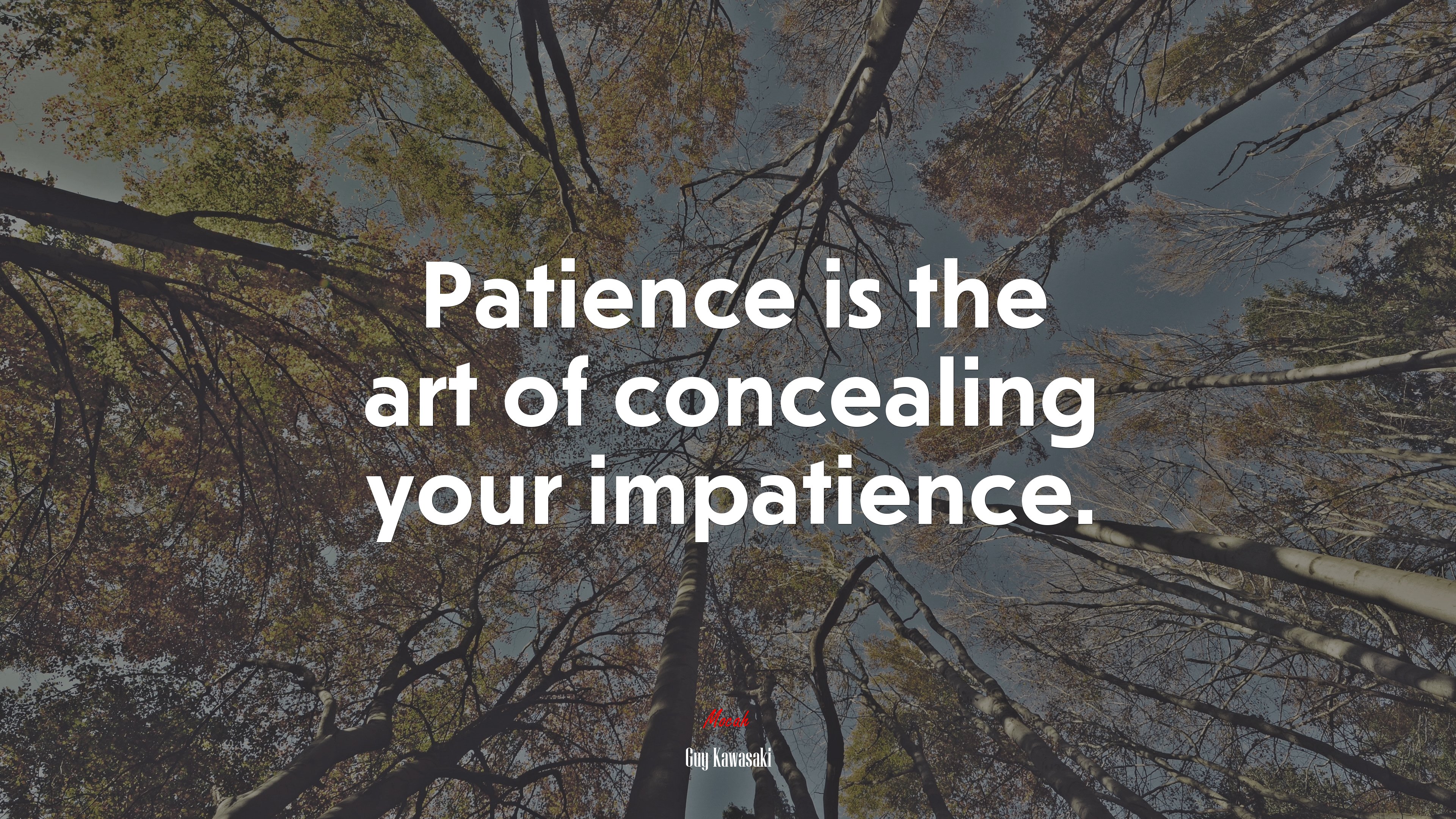 Patience is the art of concealing your impatience. | Guy Kawasaki quote HD Wallpaper