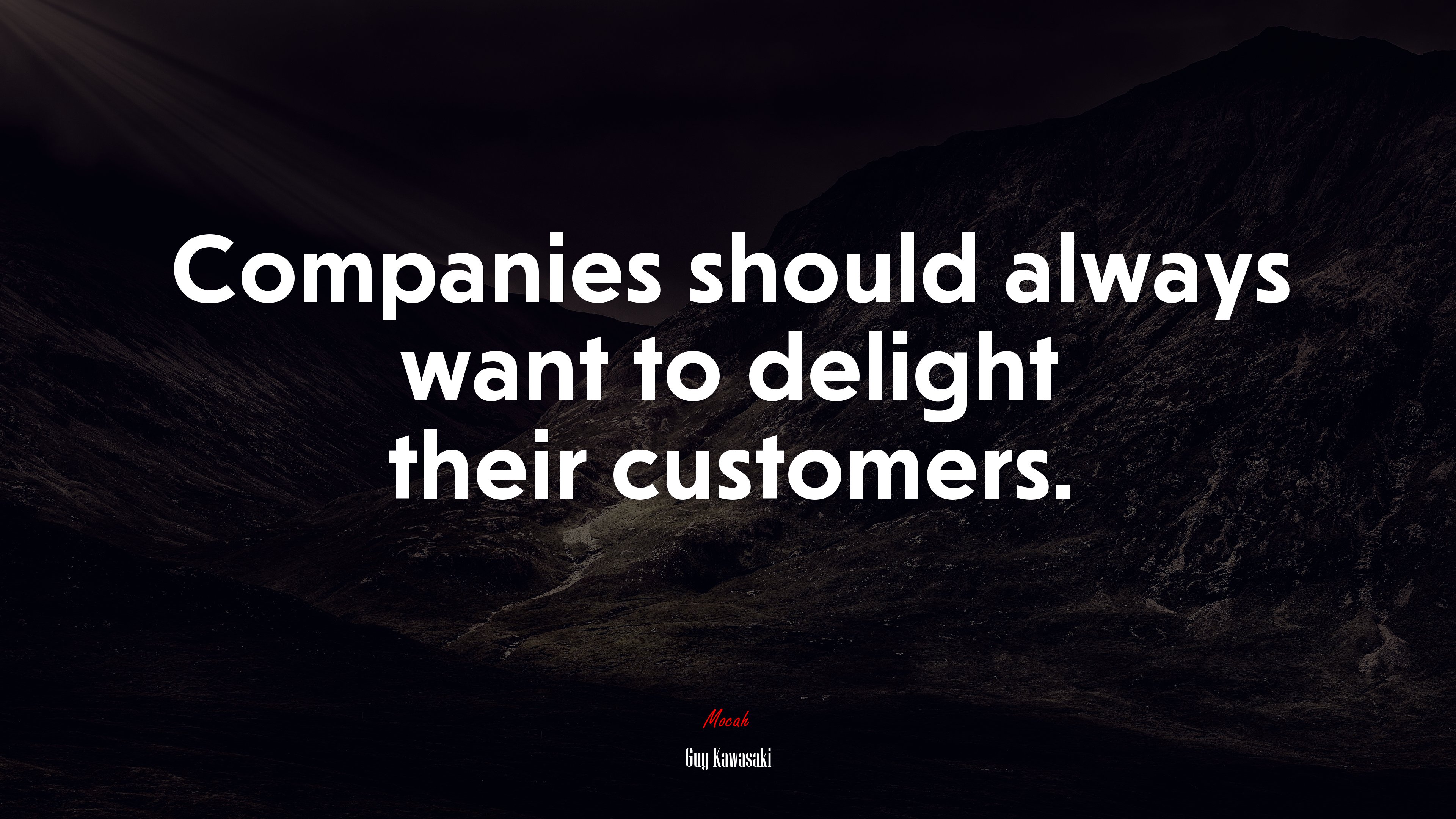 Companies should always want to delight their customers. | Guy Kawasaki quote HD Wallpaper
