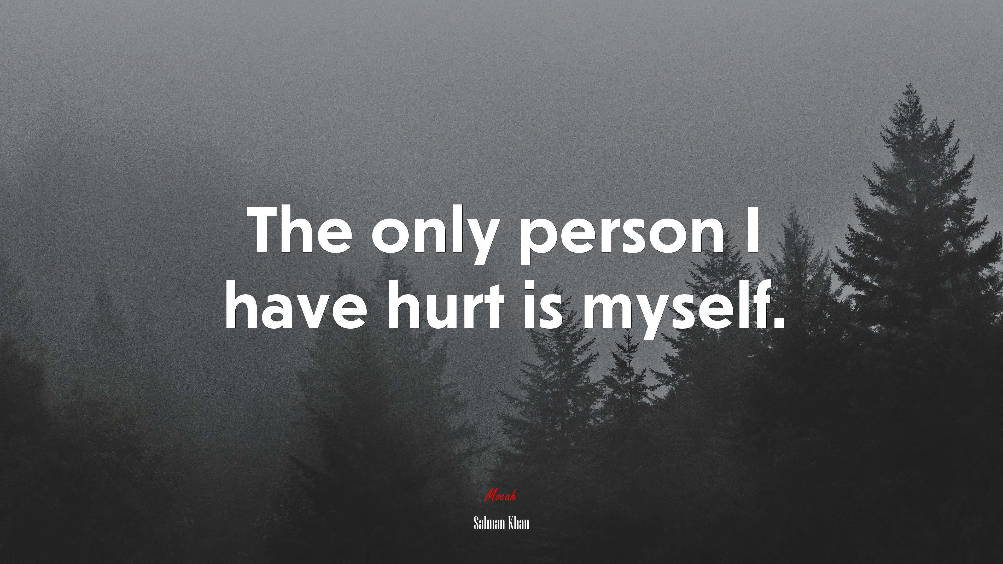 The only person I have hurt is myself. | Salman Khan quote HD Wallpaper