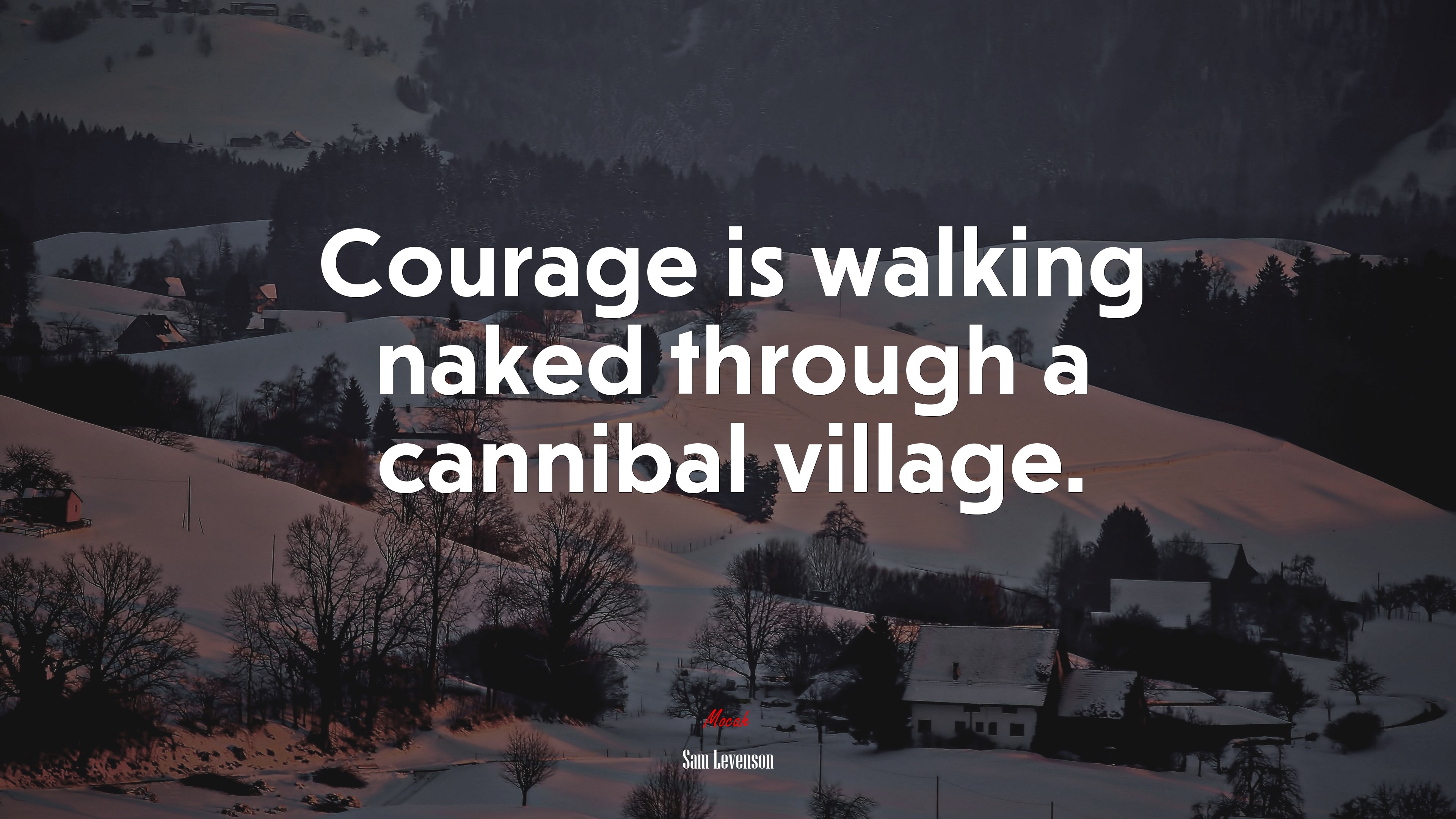 Courage is walking naked through a cannibal village. | Sam Levenson quote HD Wallpaper