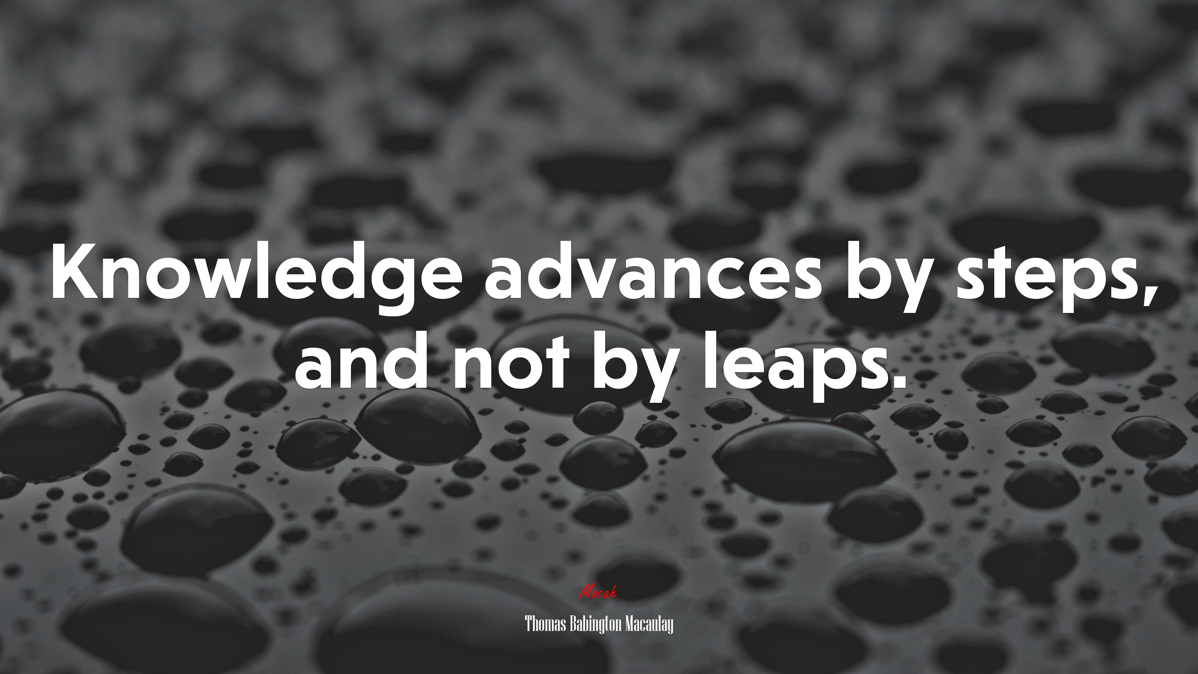 Knowledge advances by steps, and not by leaps. | Thomas Babington Macaulay quote HD Wallpaper