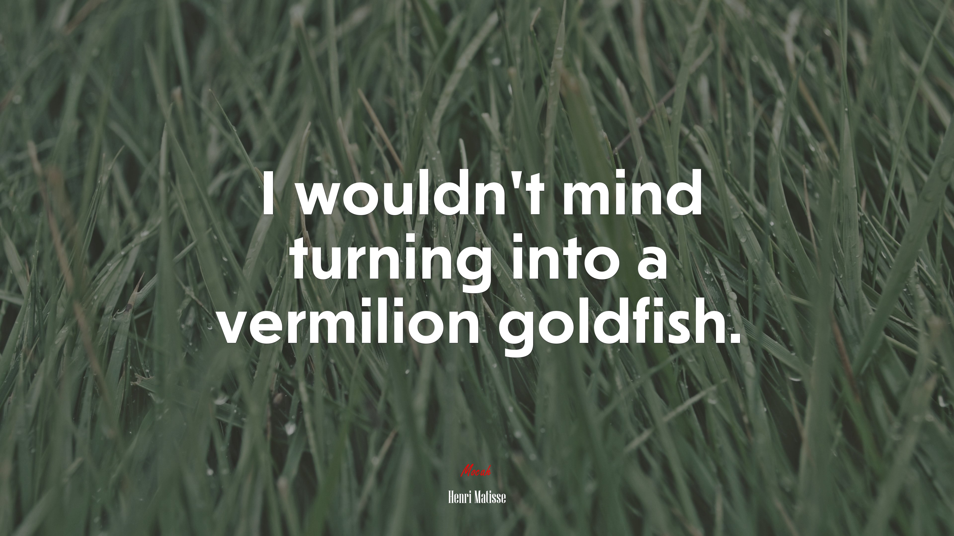 I wouldn’t mind turning into a vermilion goldfish. | Henri Matisse quote HD Wallpaper