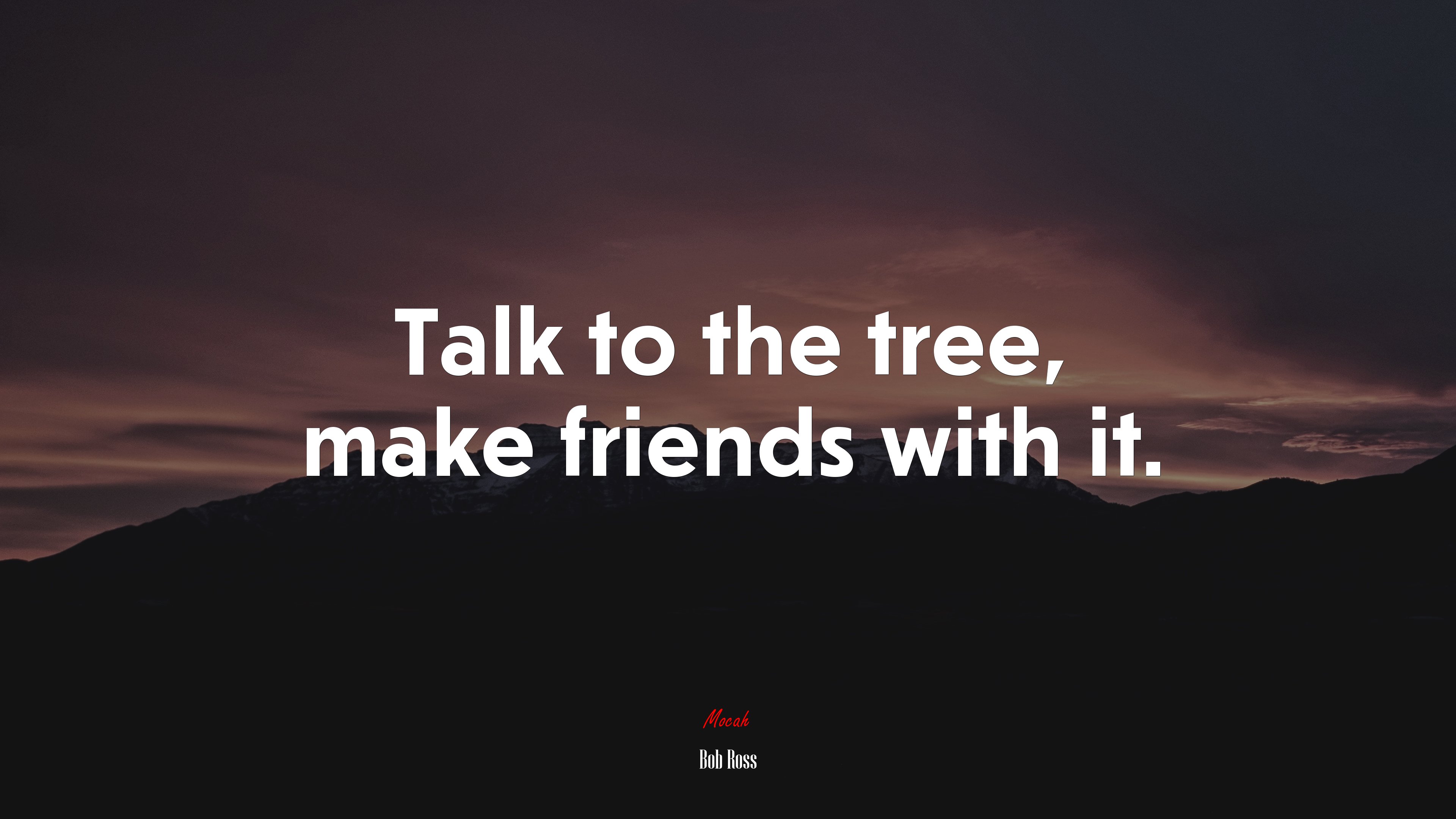 Talk to the tree, make friends with it. | Bob Ross quote HD Wallpaper