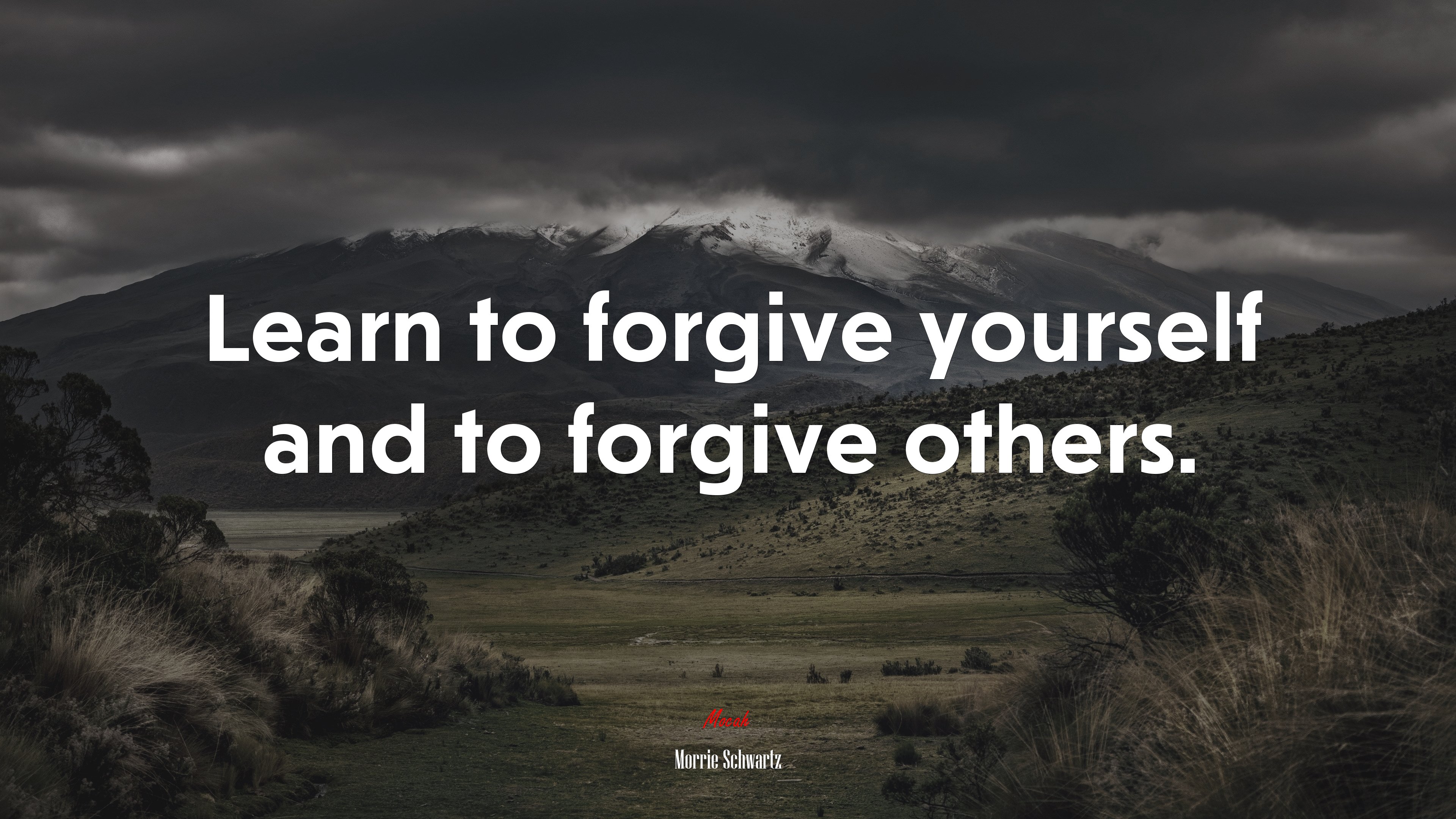 Learn to forgive yourself and to forgive others. | Morrie Schwartz quote HD Wallpaper