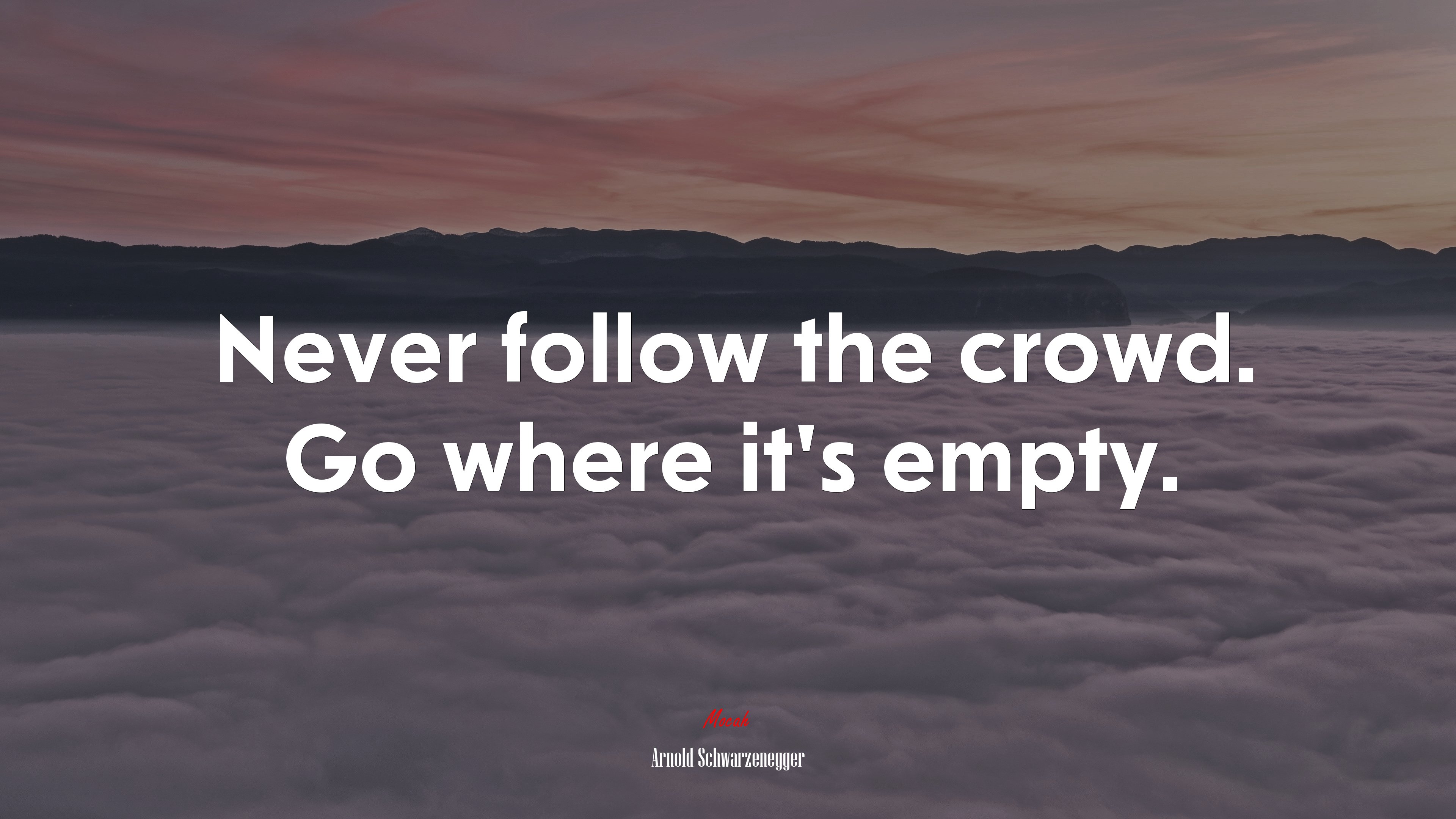 Never follow the crowd. Go where it’s empty. | Arnold Schwarzenegger quote HD Wallpaper