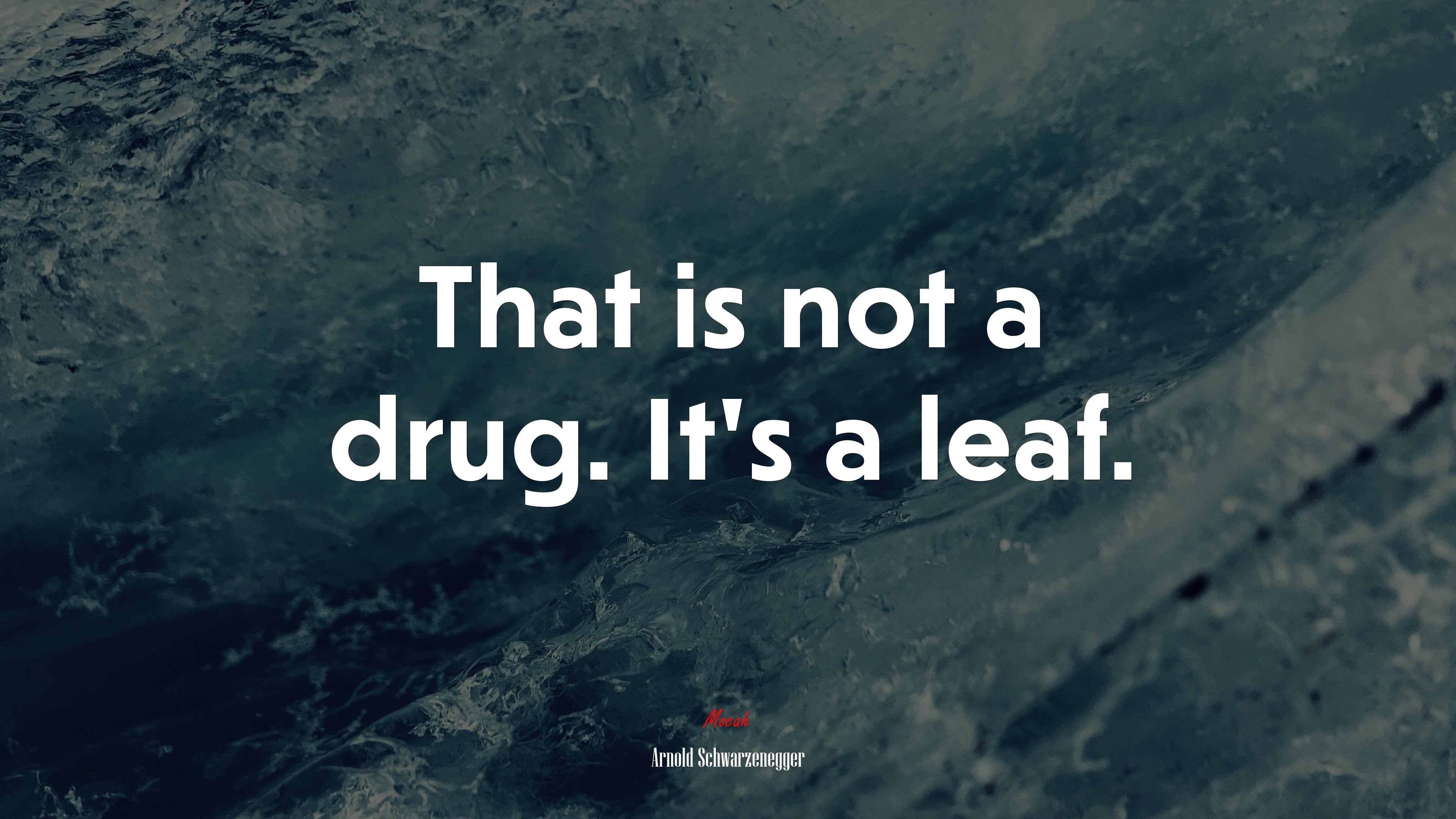 That is not a drug. It’s a leaf. | Arnold Schwarzenegger quote HD Wallpaper