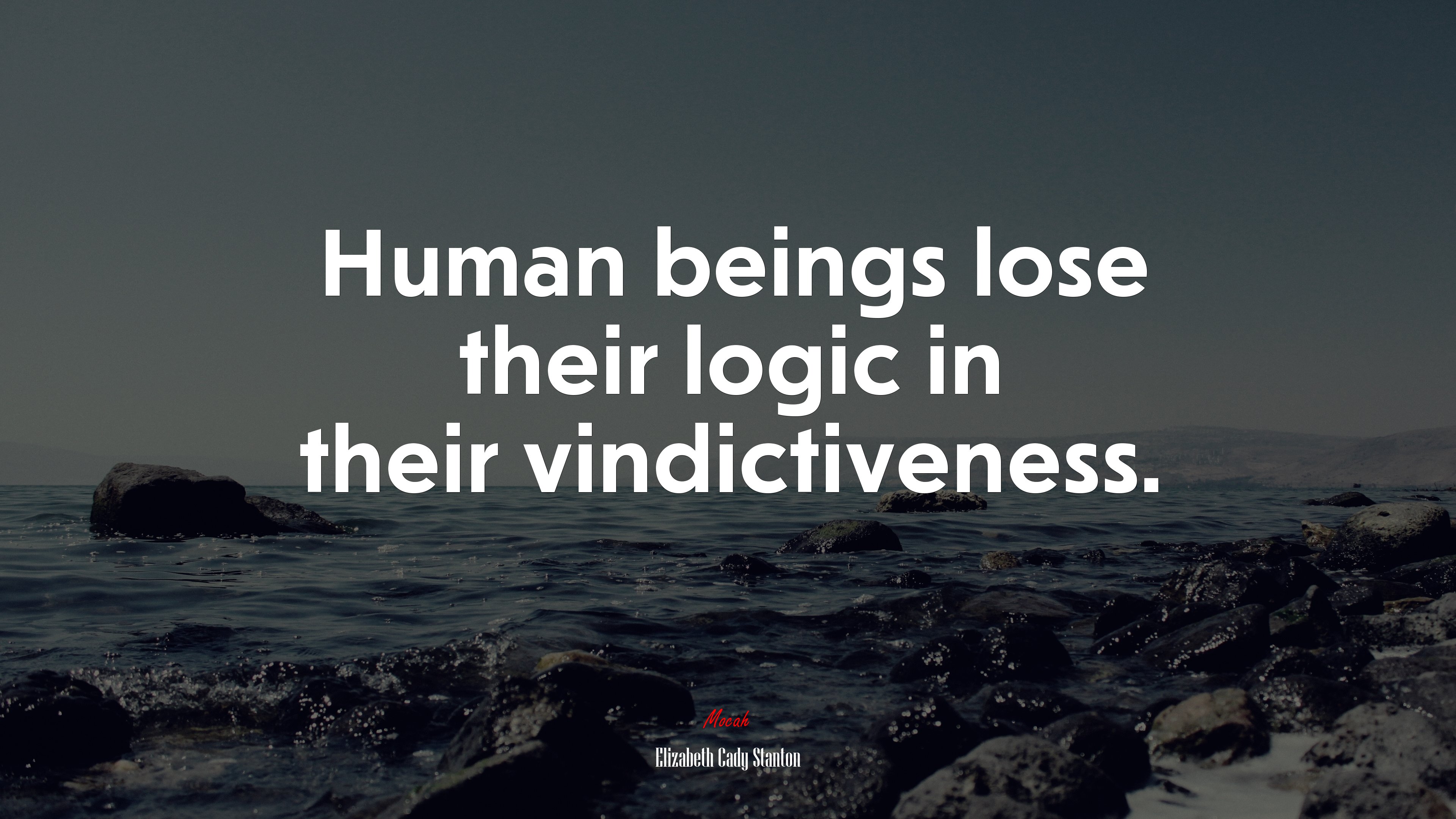 Human beings lose their logic in their vindictiveness. | Elizabeth Cady Stanton quote HD Wallpaper