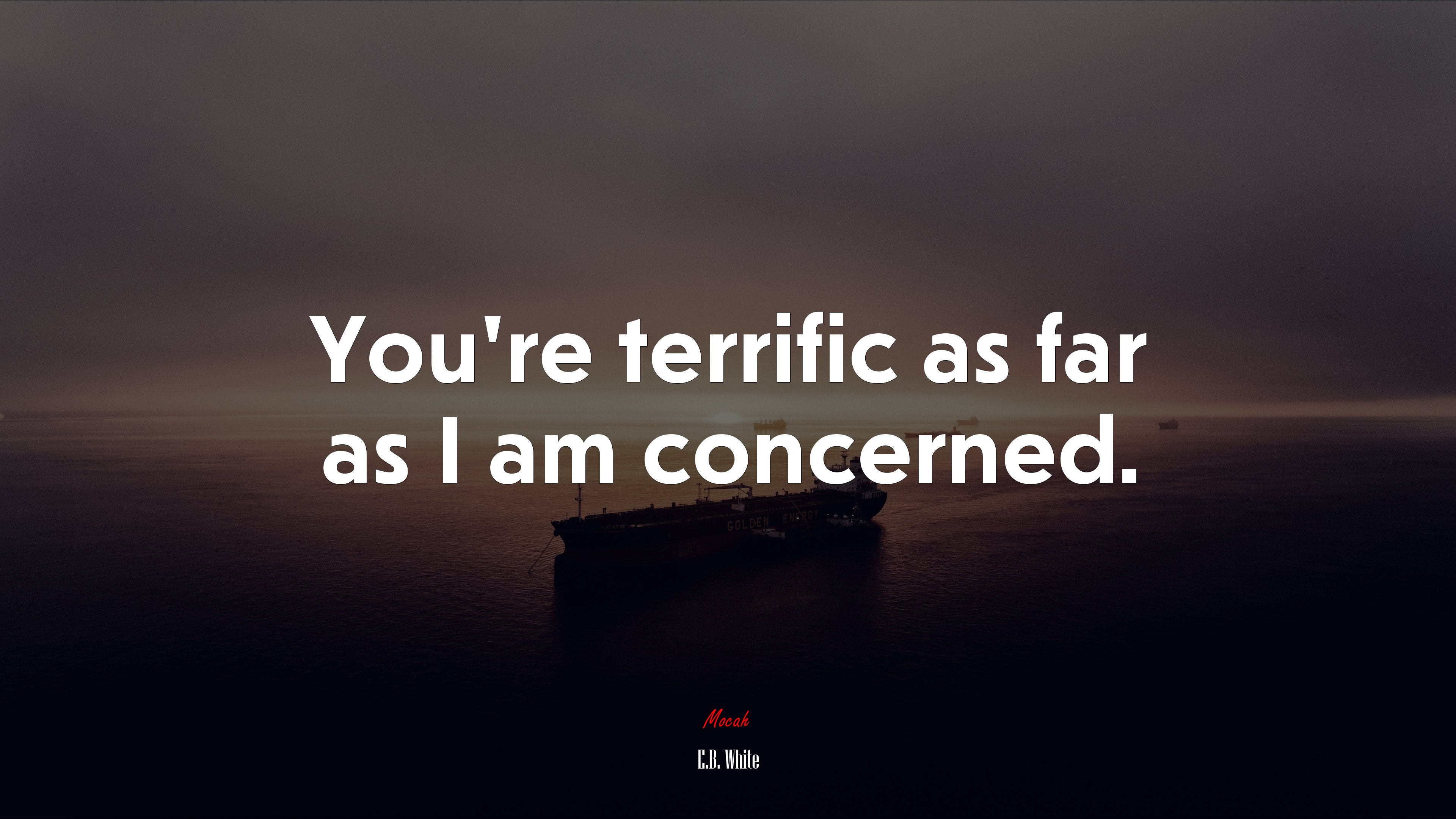 You’re terrific as far as I am concerned. | E.B. White quote HD Wallpaper